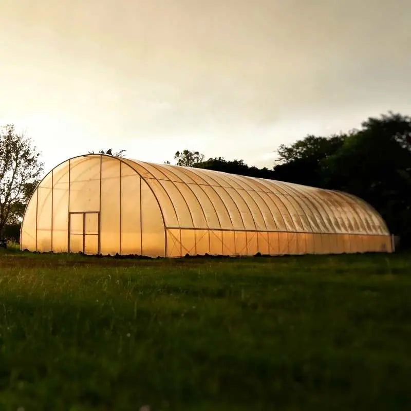 Greenhouse and practical equipment for a productive homestead