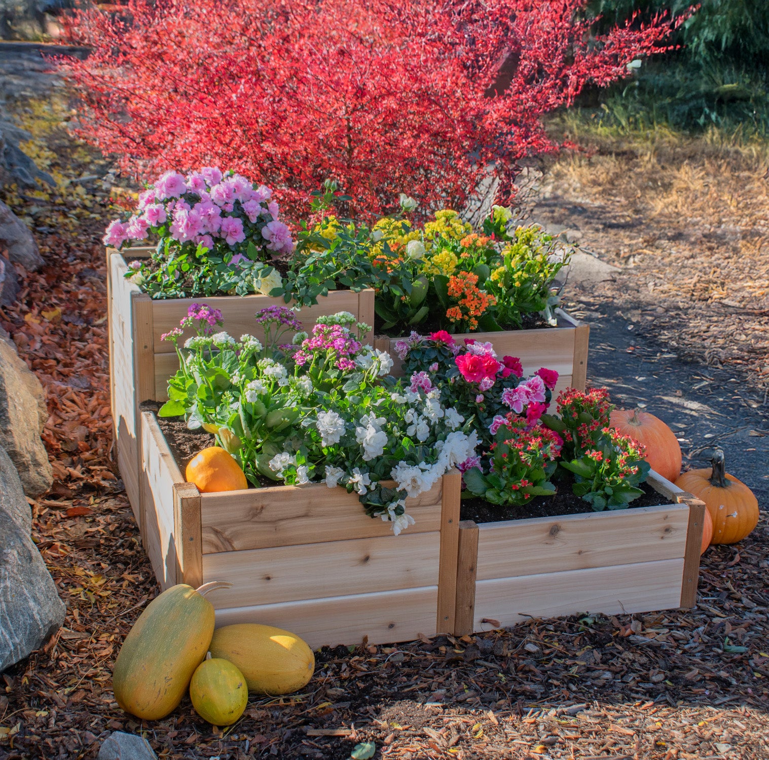 Outdoor Living Today Tiered Corner Raised Garden bed