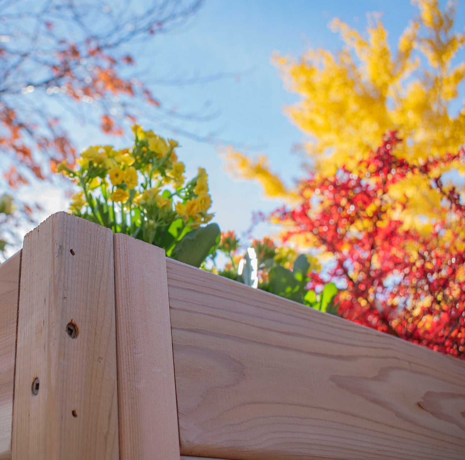Outdoor Living Today Tiered Corner Raised Garden bed