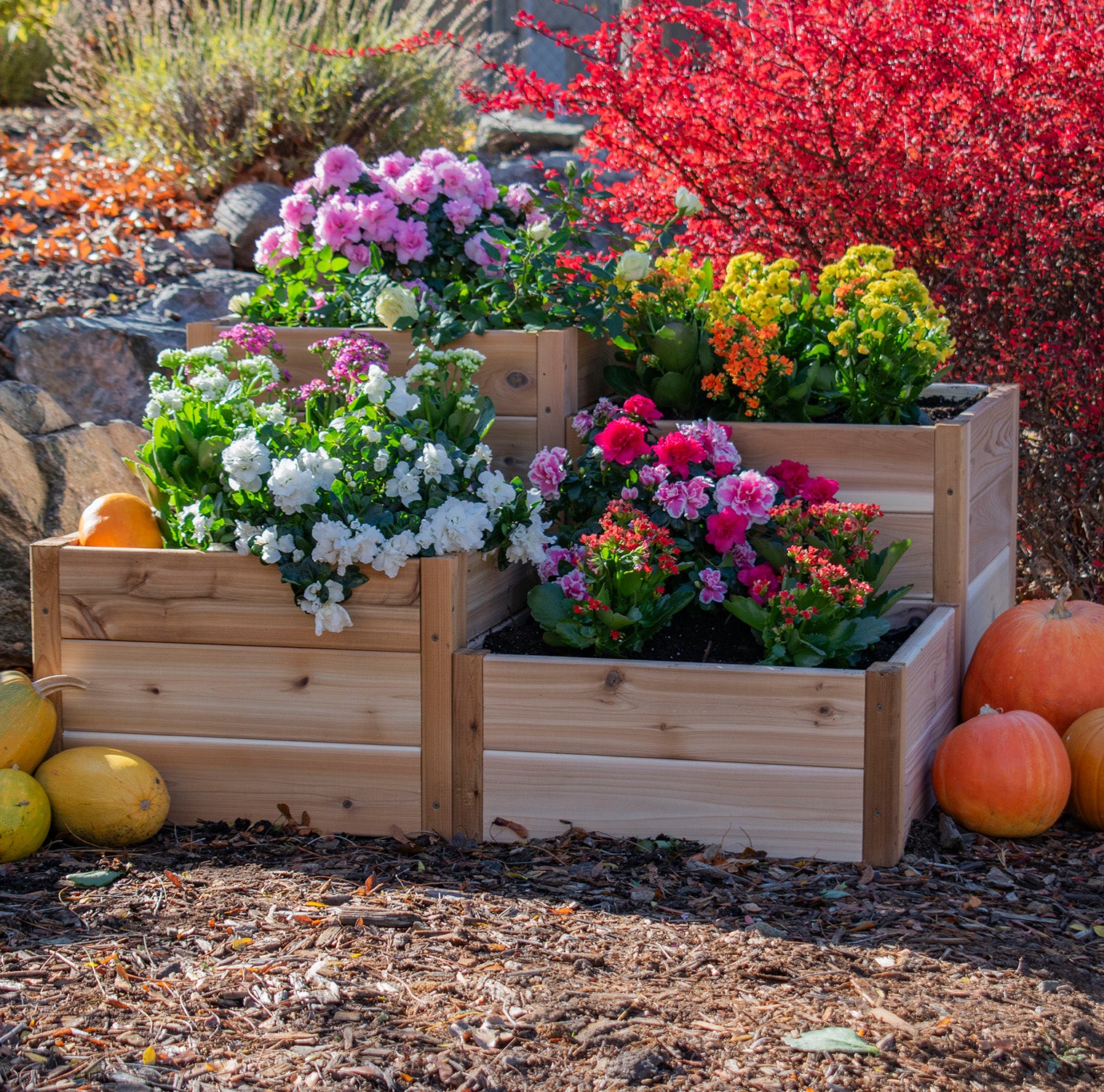Outdoor Living Today Tiered Corner Raised Garden bed