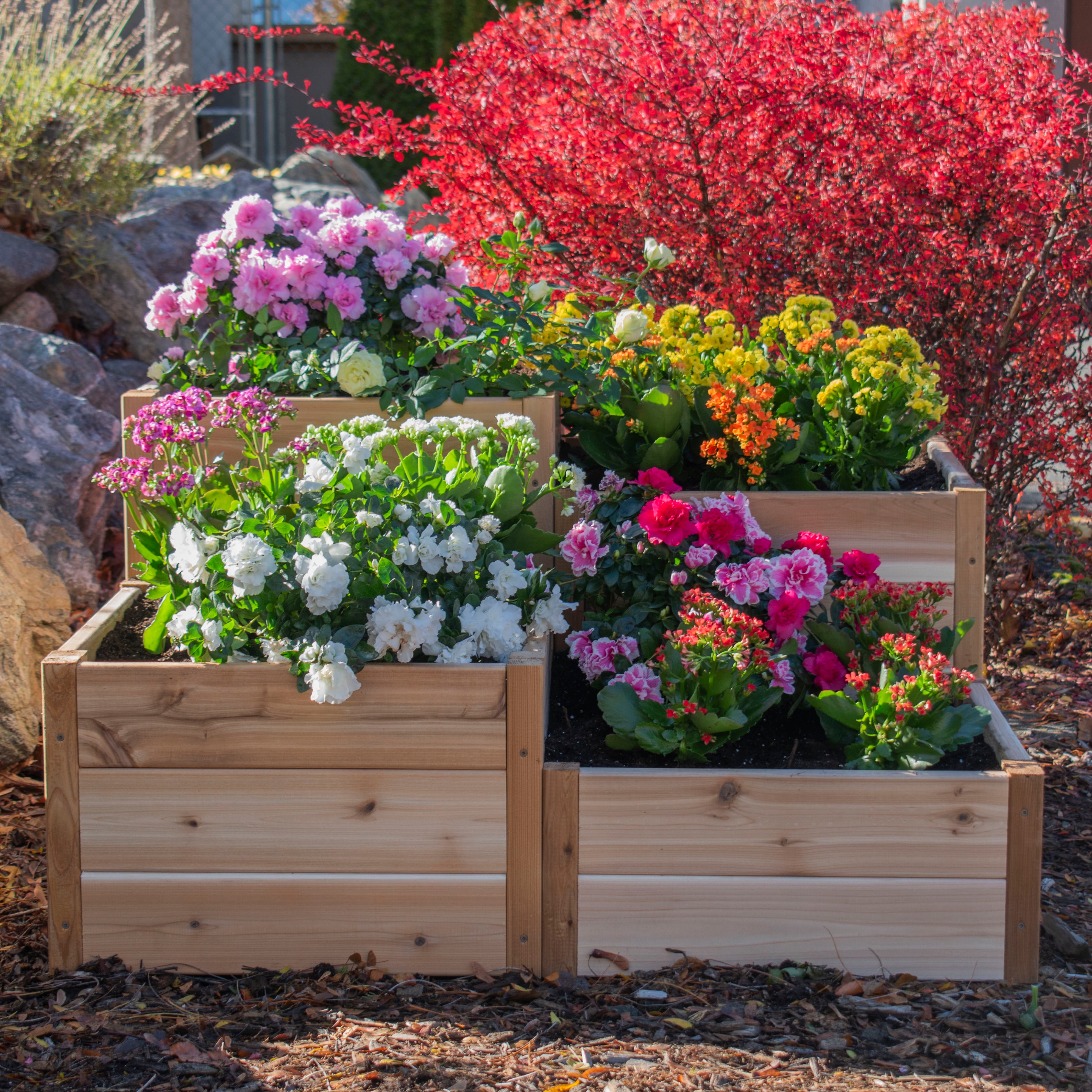 Outdoor Living Today Tiered Corner Raised Garden bed