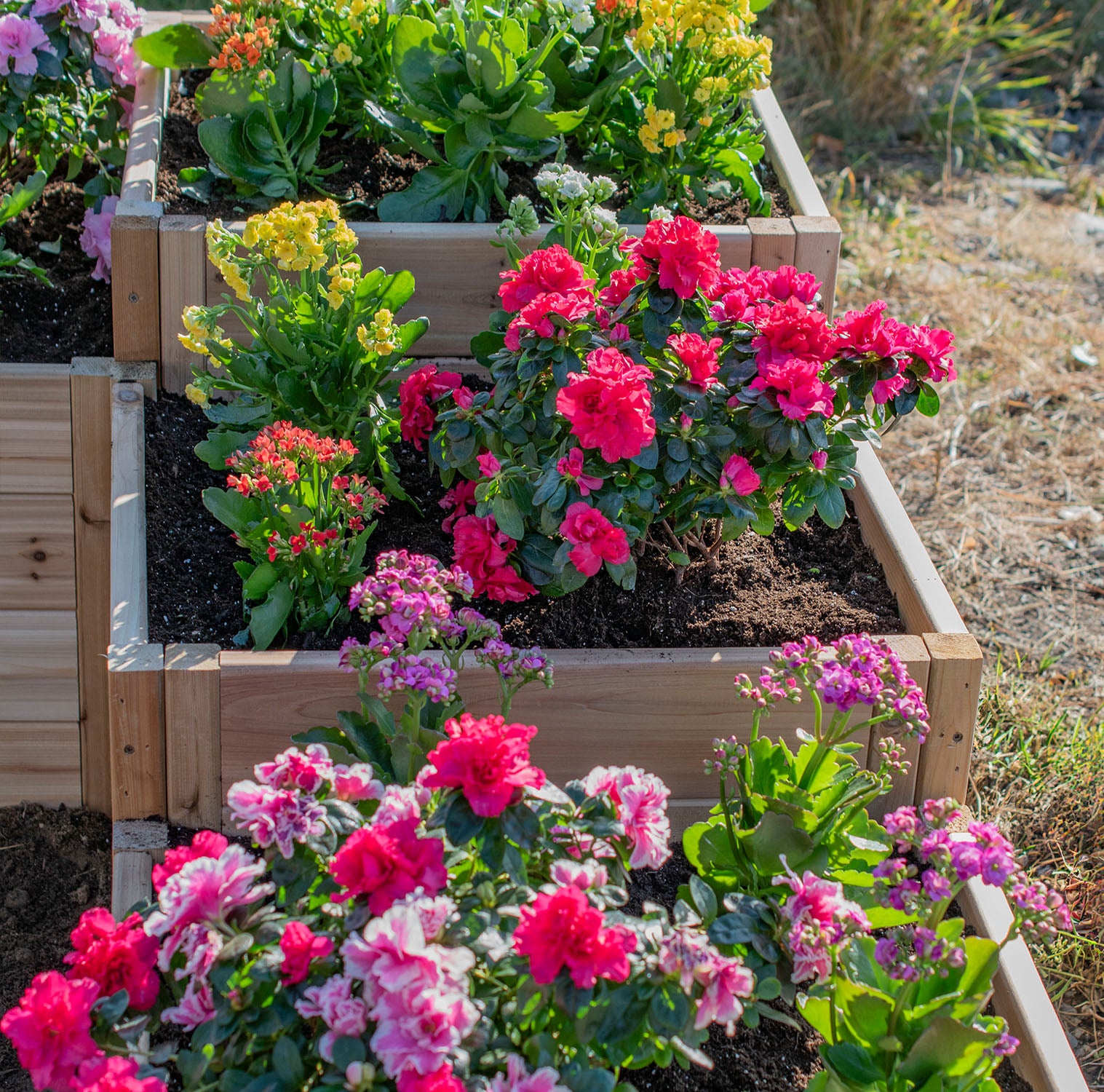 Outdoor Living Today Tiered L Raised Garden bed