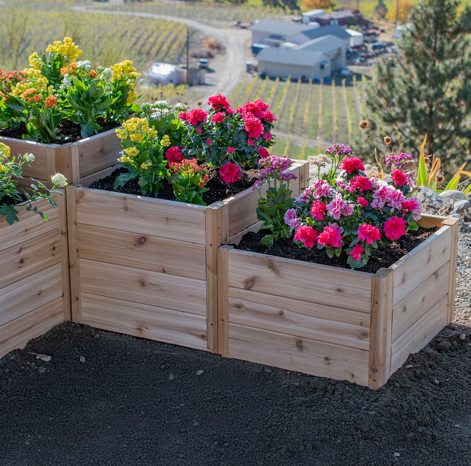 Outdoor Living Today Tiered L Raised Garden bed