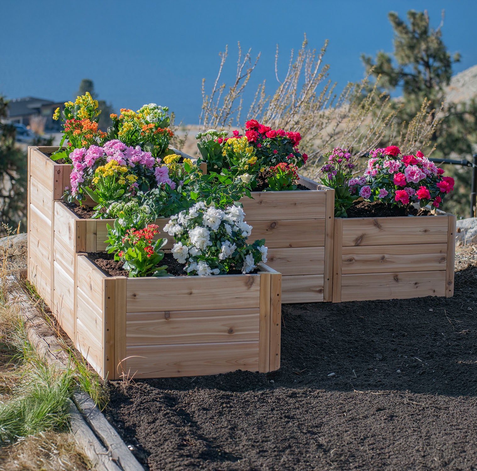 Outdoor Living Today Tiered L Raised Garden bed