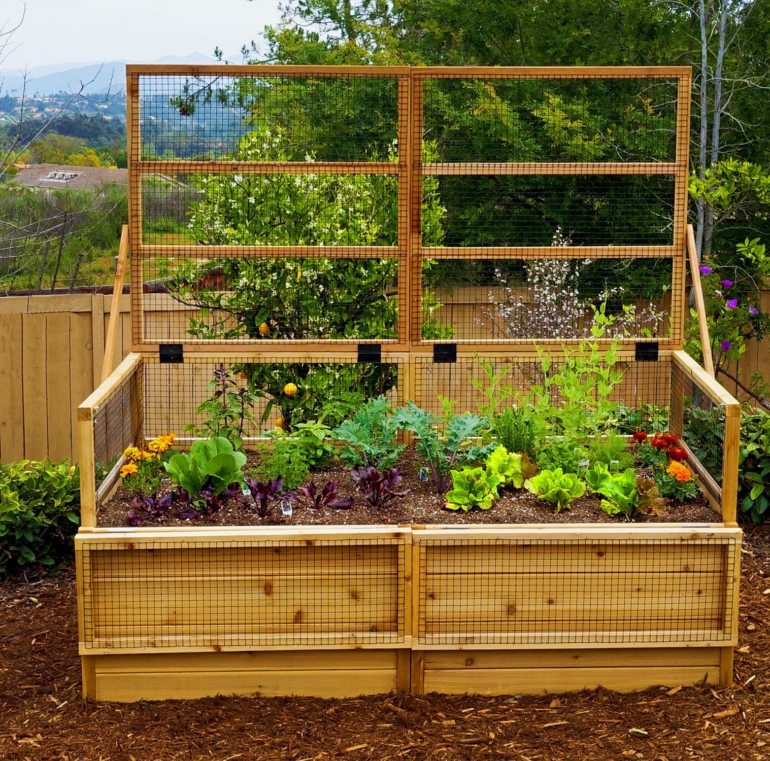 Outdoor Living Today 6x3 Western Red Cedar Raised Garden Bed with Trellis