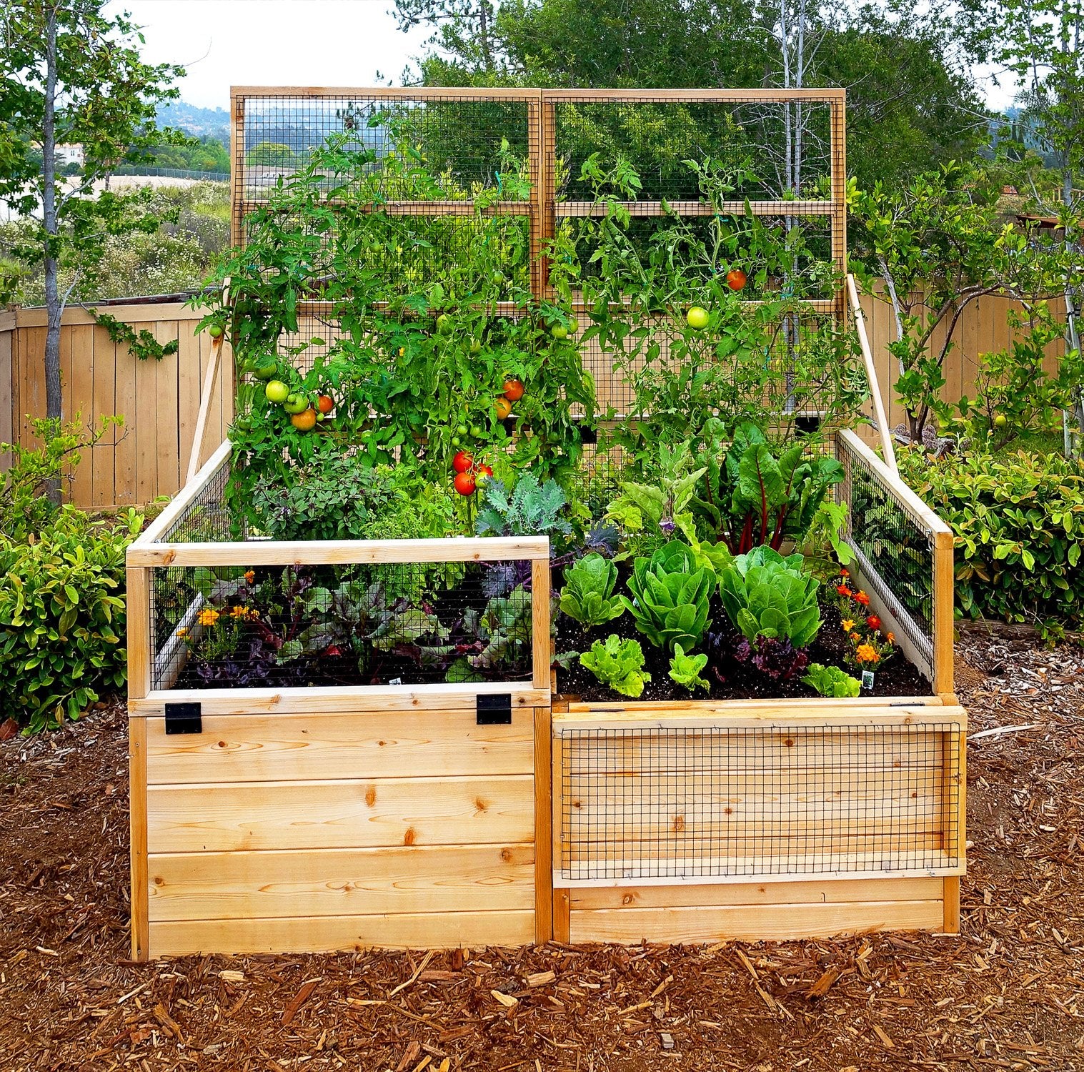 Outdoor Living Today 6x3 Western Red Cedar Raised Garden Bed with Trellis