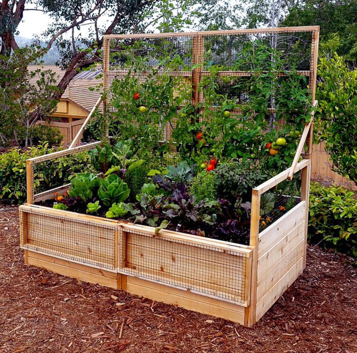 Outdoor Living Today 6x3 Western Red Cedar Raised Garden Bed with Trellis