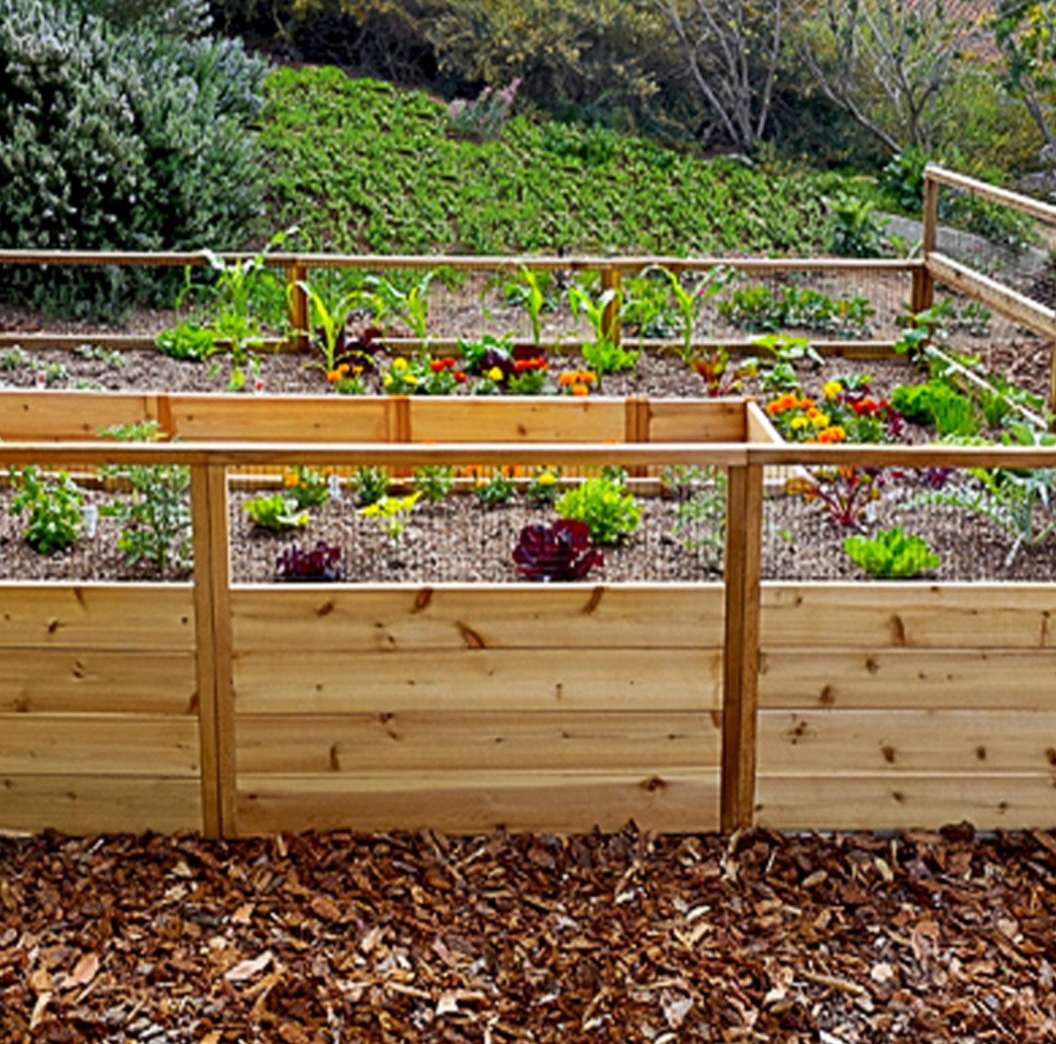 Outdoor Living Today 8x12 Western Red Cedar Raised Garden Bed