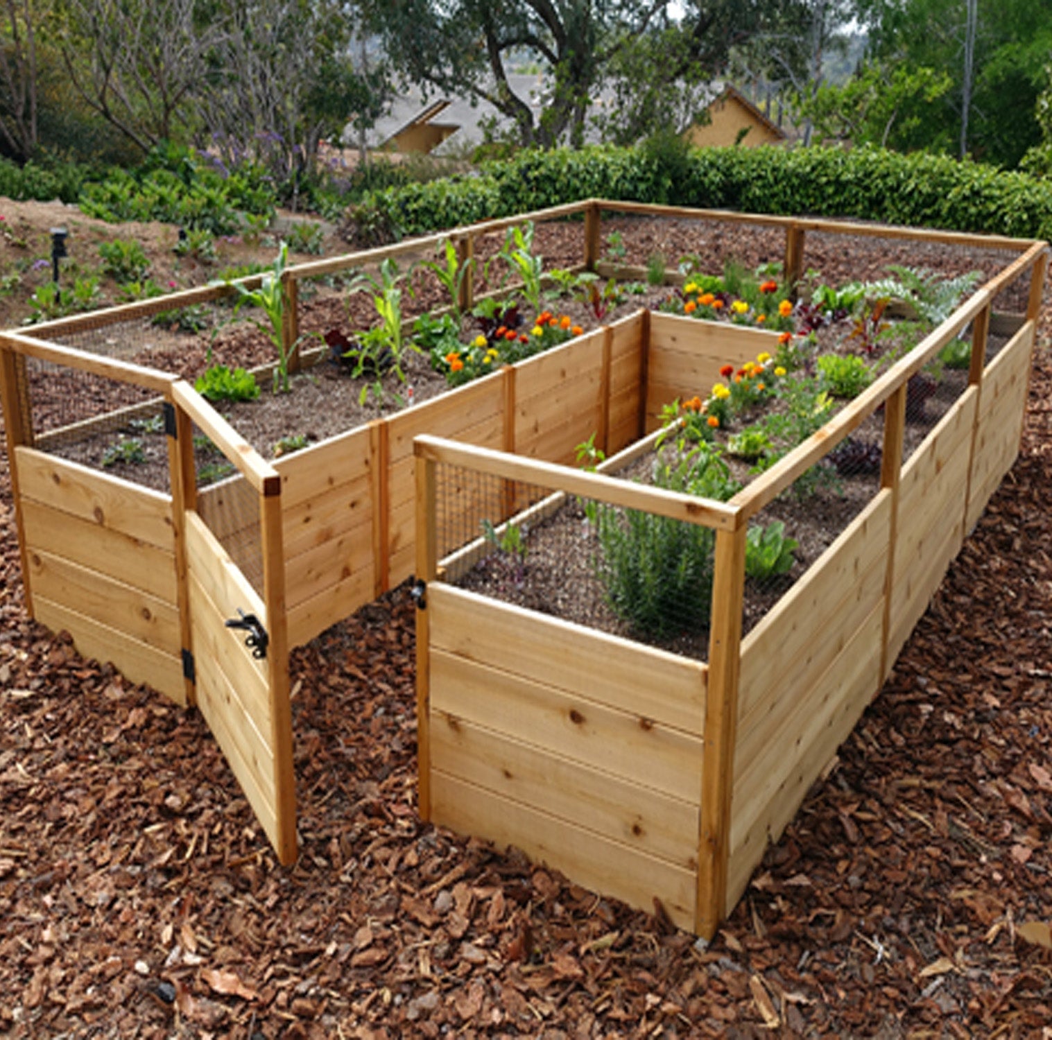 Outdoor Living Today 8x12 Western Red Cedar Raised Garden Bed