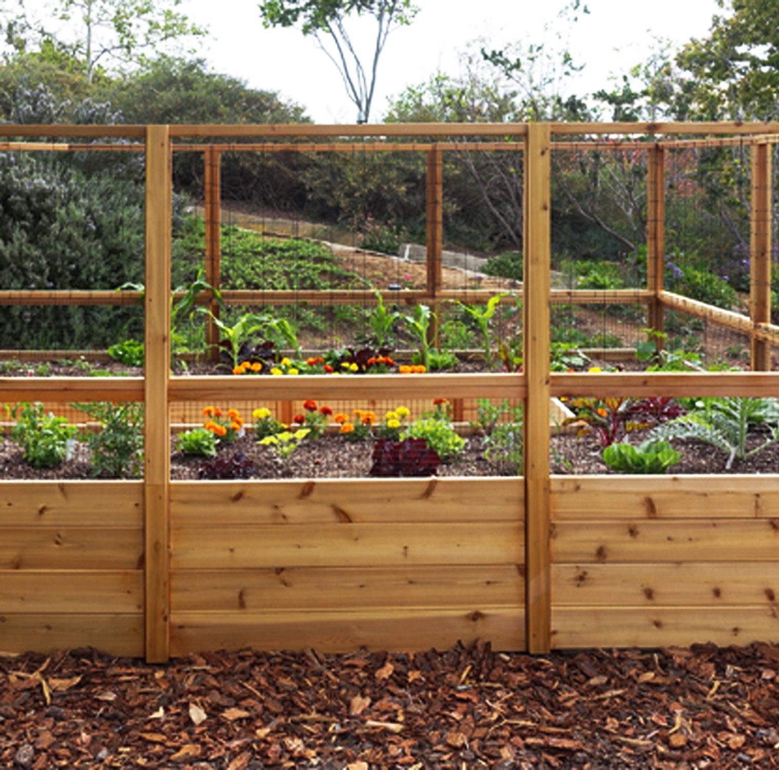 Outdoor Living Today 8x12 Western Red Cedar Raised Garden Bed with Deerfence