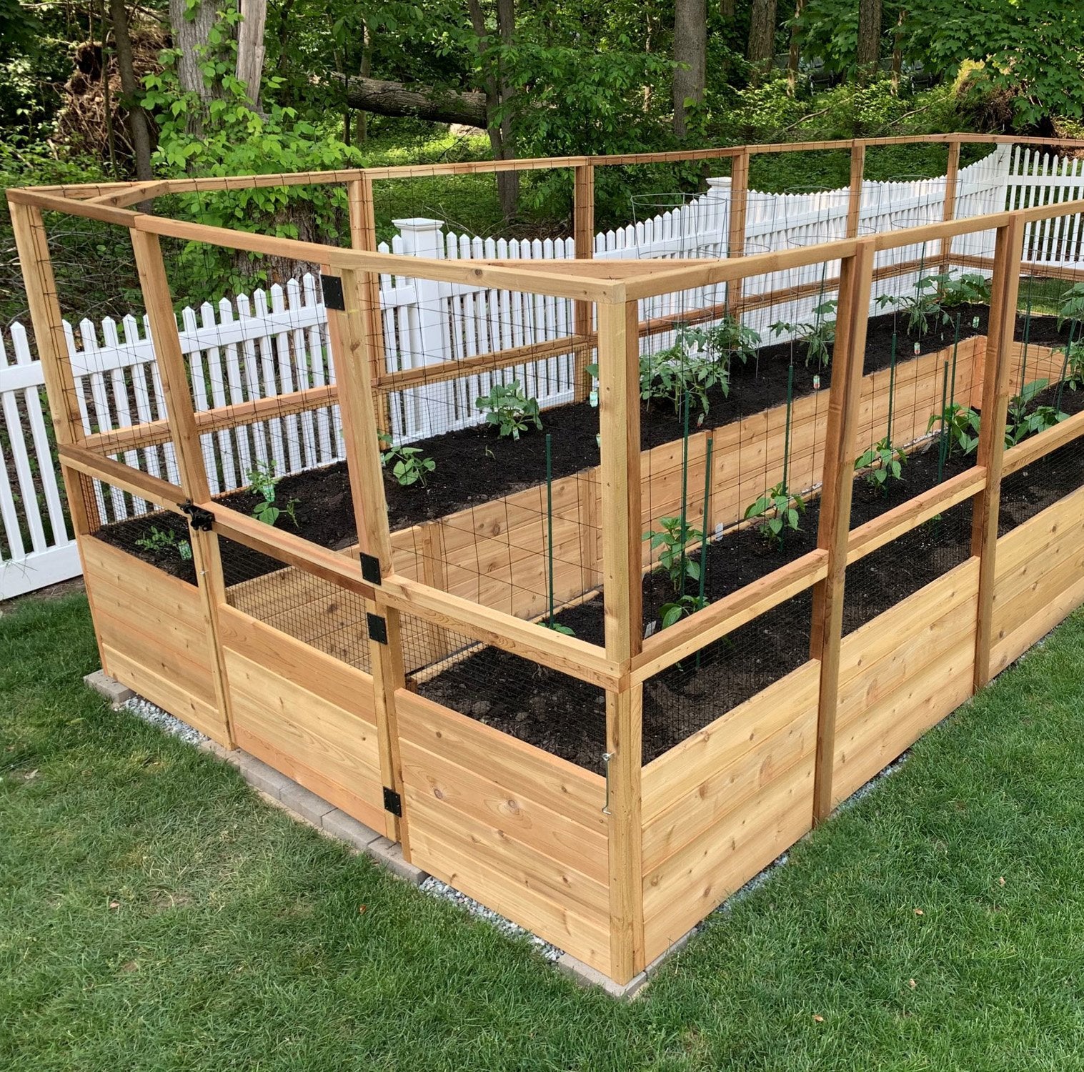 Outdoor Living Today 8x16 Western Red Cedar Raised Garden Bed with Deerfence