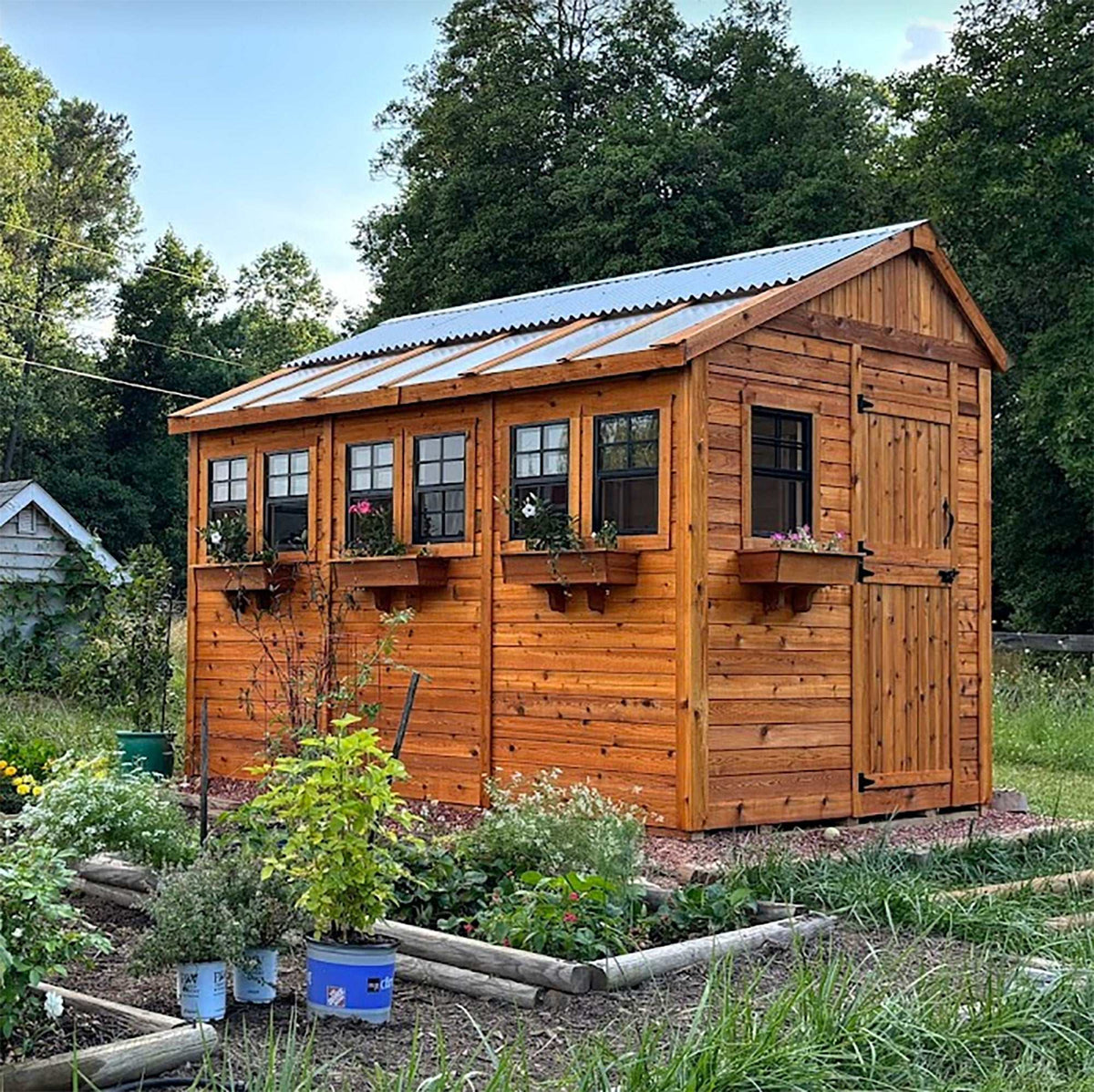 8x12 cedar shed with warm western red cedar siding, metal roof, Dutch door, screened windows, and flower boxes