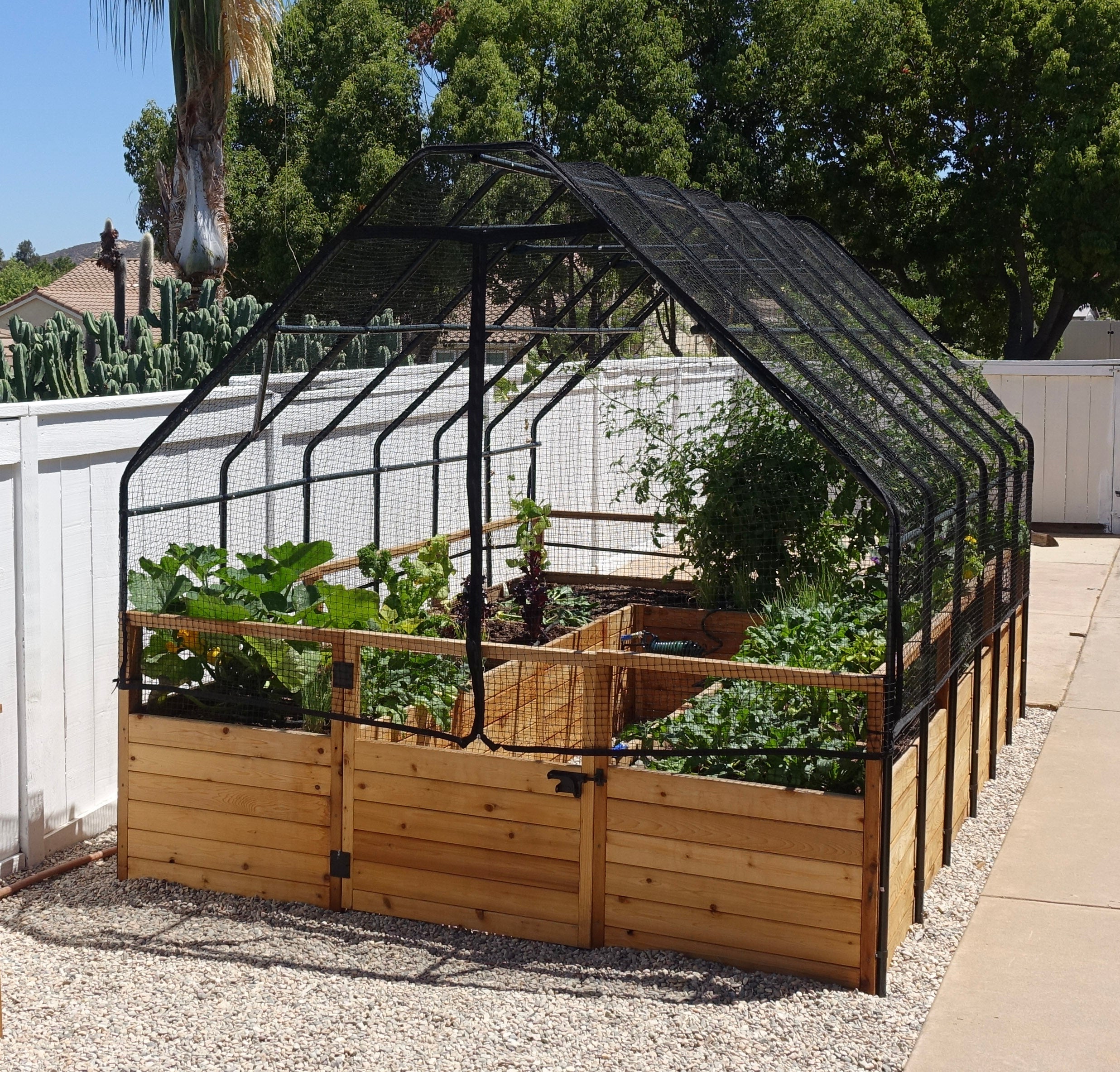 Outdoor Living Today 8x8 Western Red Cedar Raised Garden Bed with Bird Net Frame & Cover