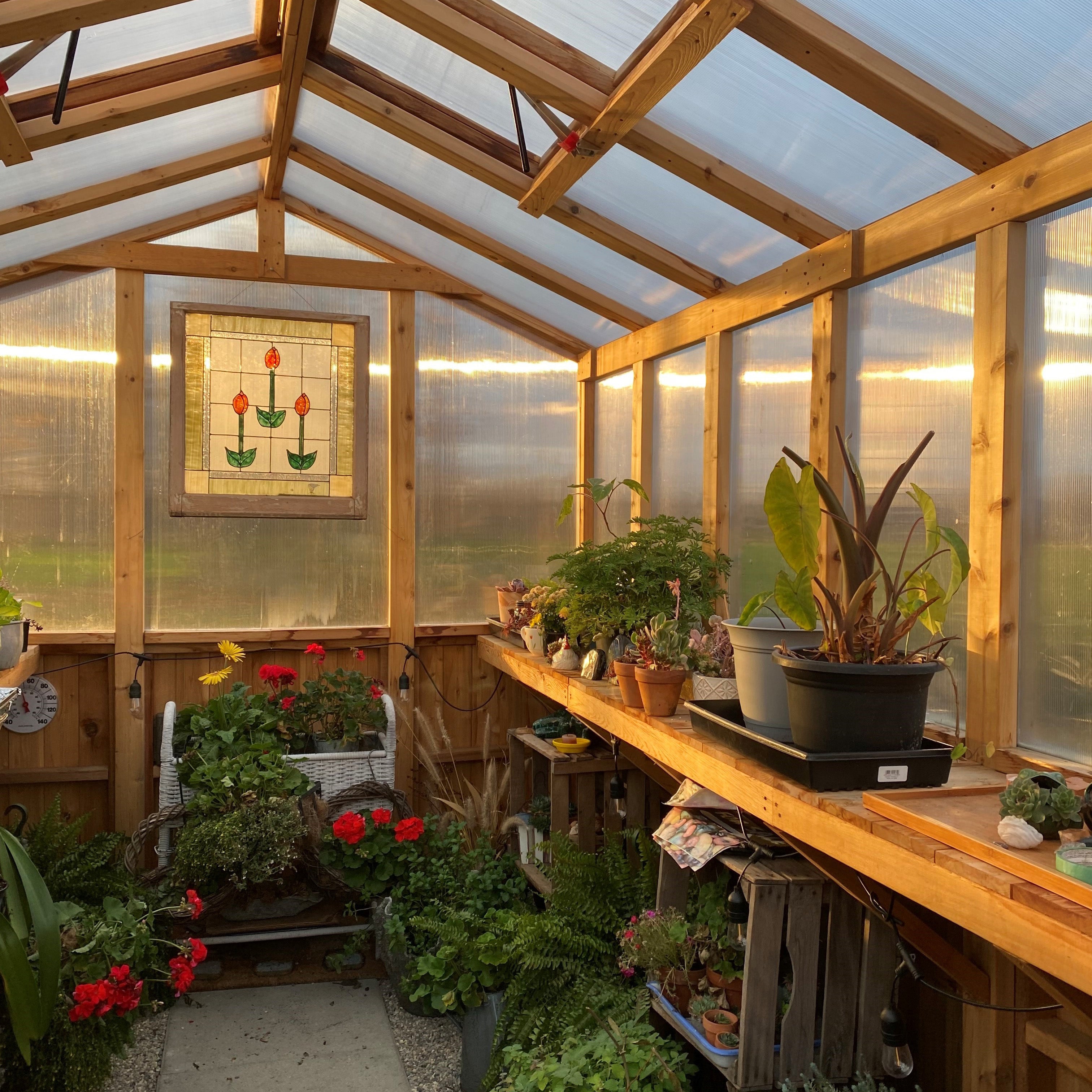 Outdoor Living Today 8x12 Western Red Cedar Greenhouse