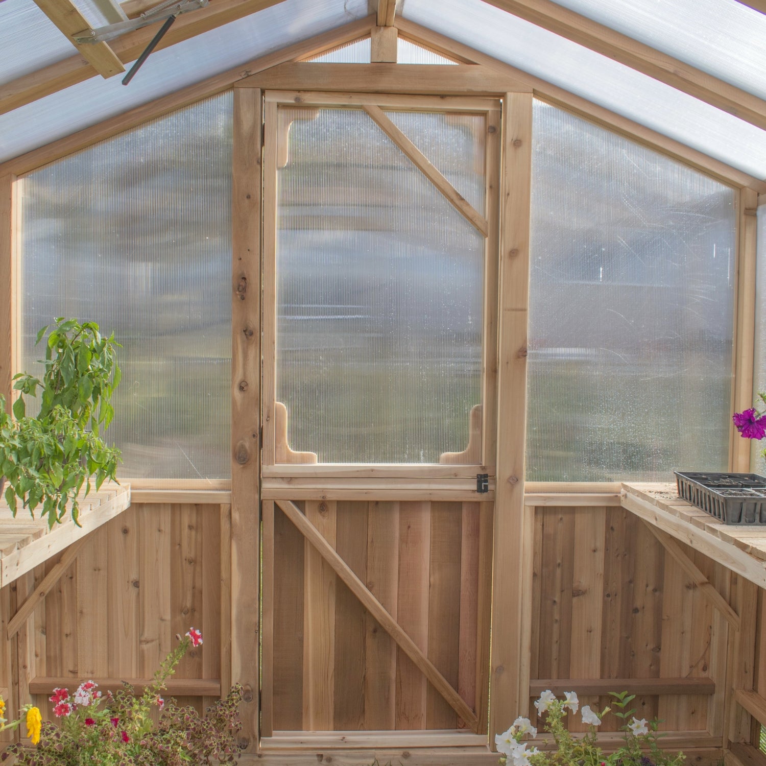 Outdoor Living Today 8x8 Western Red Cedar Greenhouse