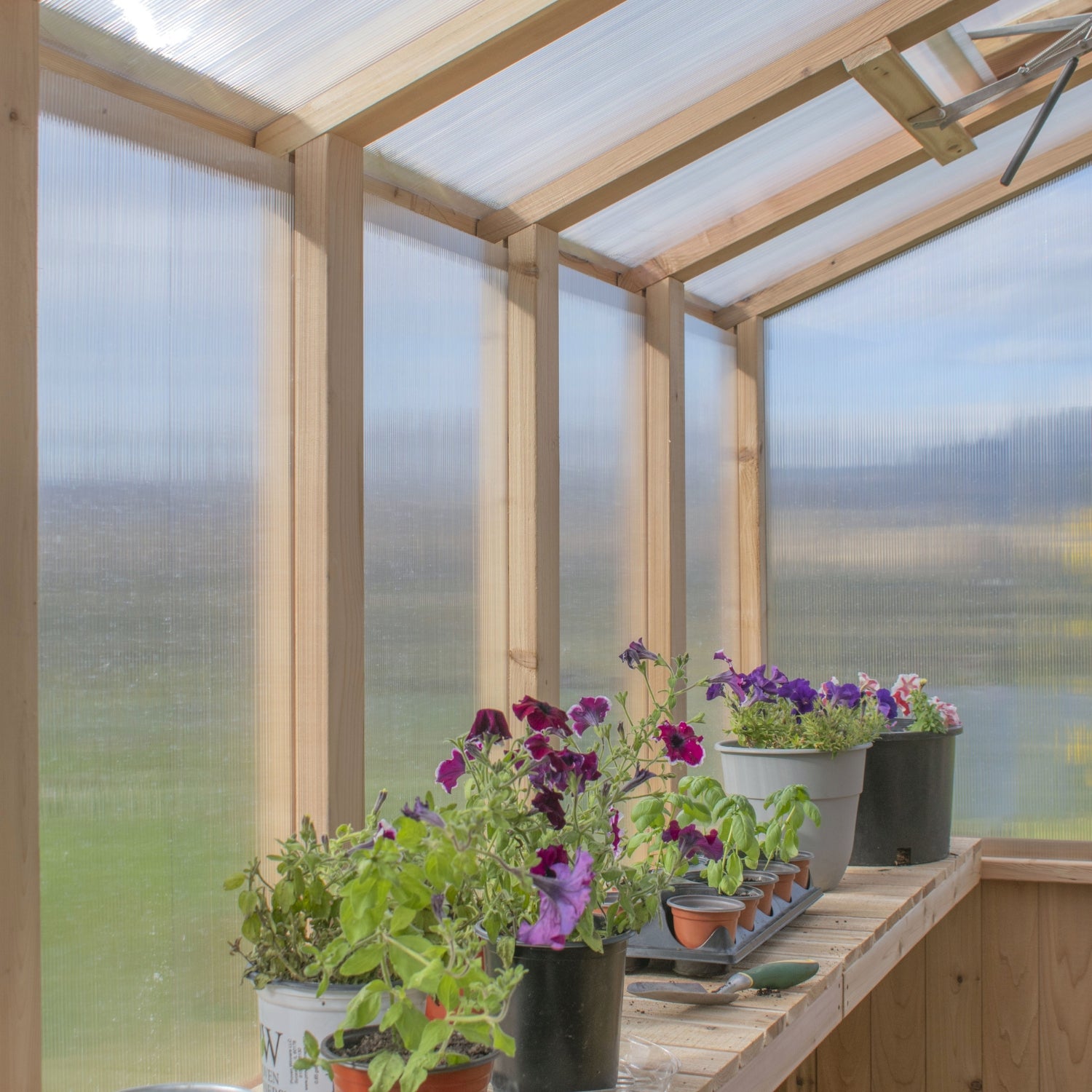 Outdoor Living Today 8x8 Western Red Cedar Greenhouse