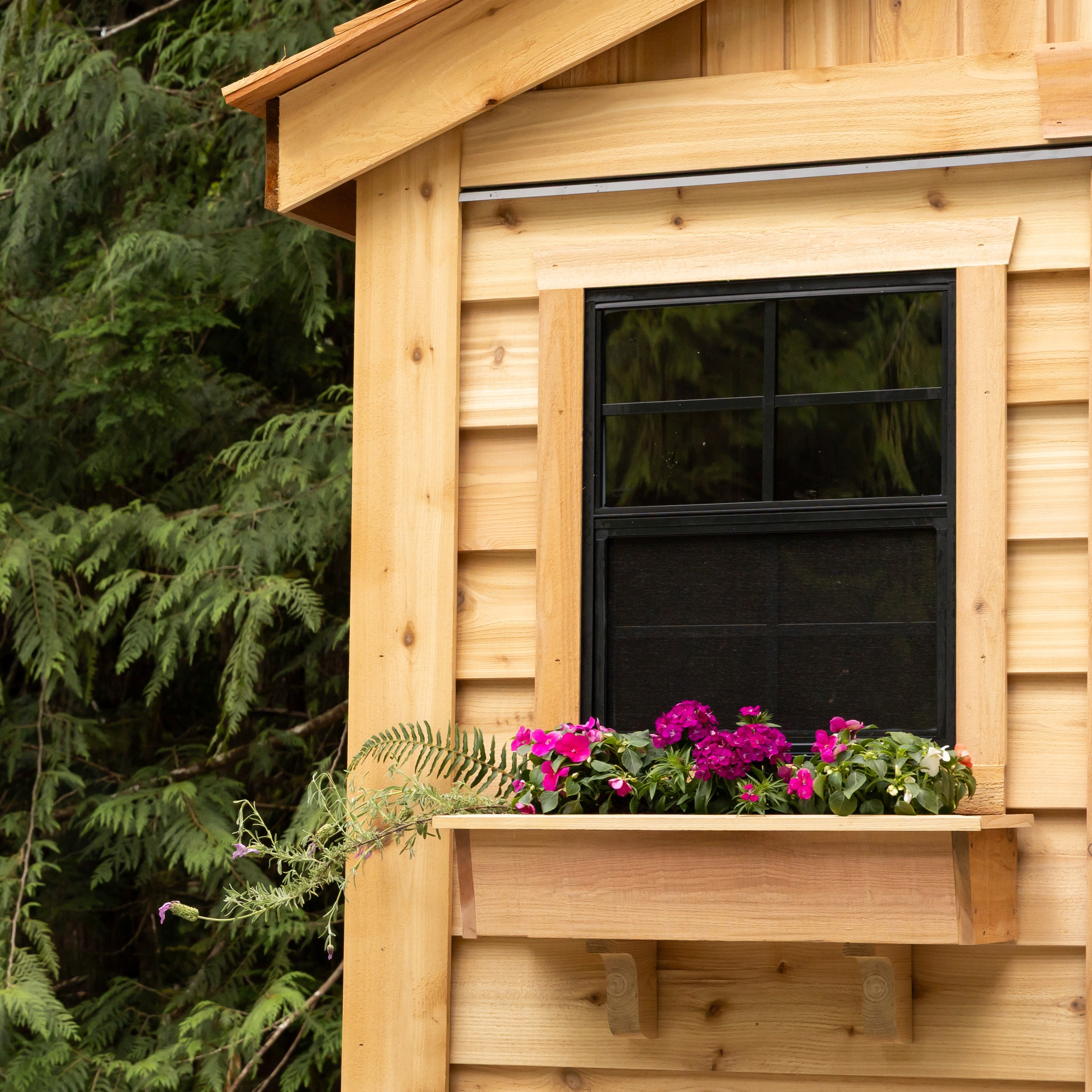 Outdoor Living Today 8x12 Western Red Cedar Sunshed Shed with Metal Roof