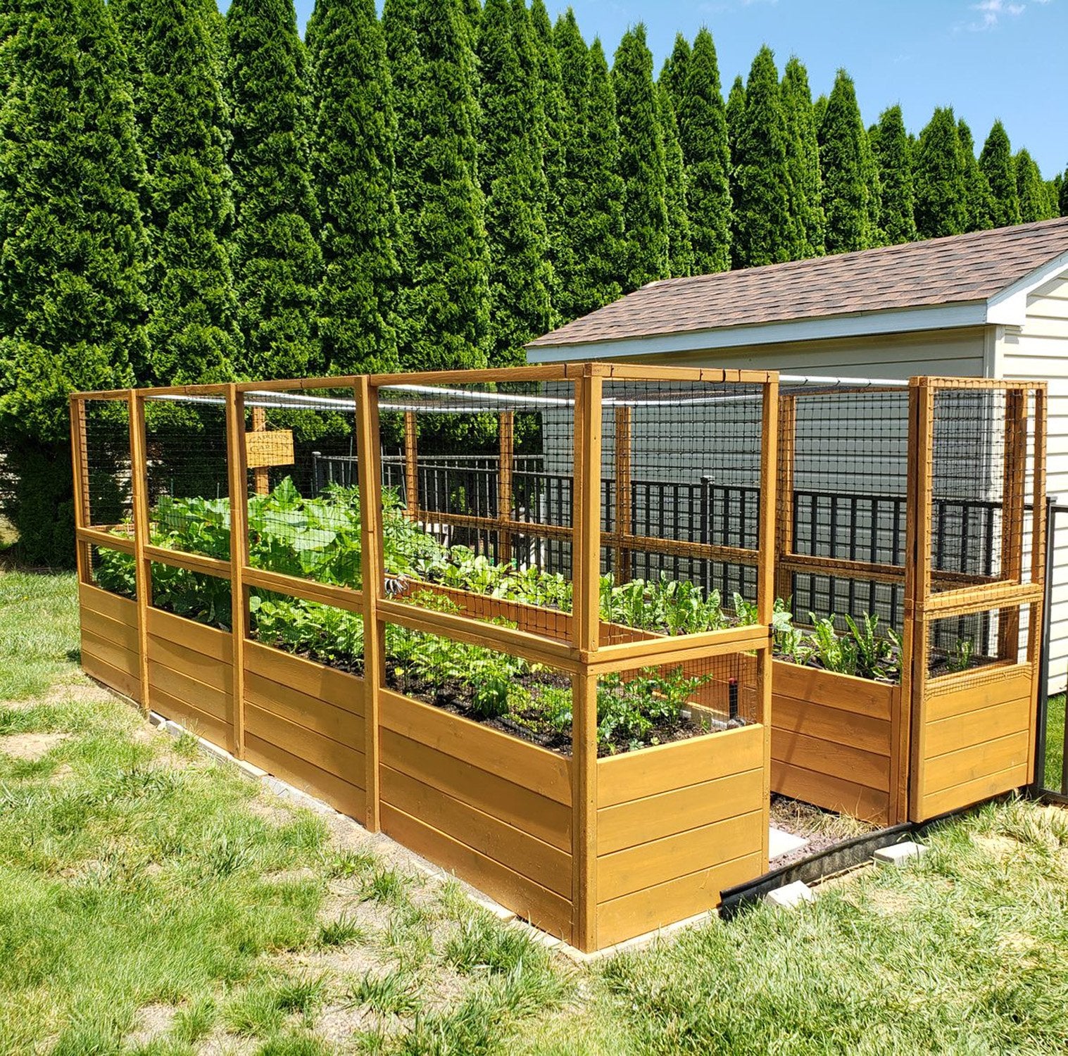 Outdoor Living Today 8x16 Western Red Cedar Raised Garden Bed with Deerfence