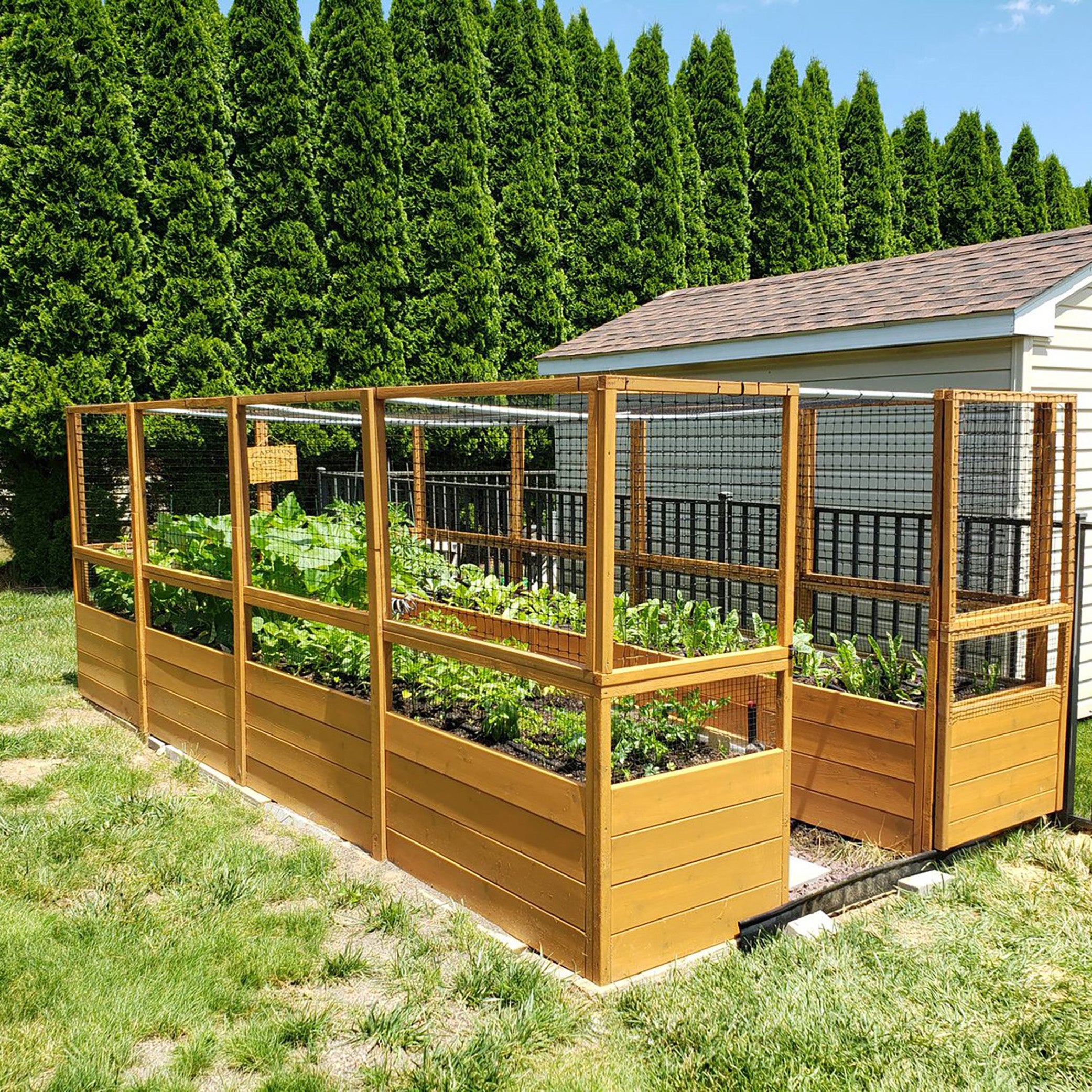 Outdoor Living Today 8x16 Western Red Cedar Raised Garden Bed with Deerfence