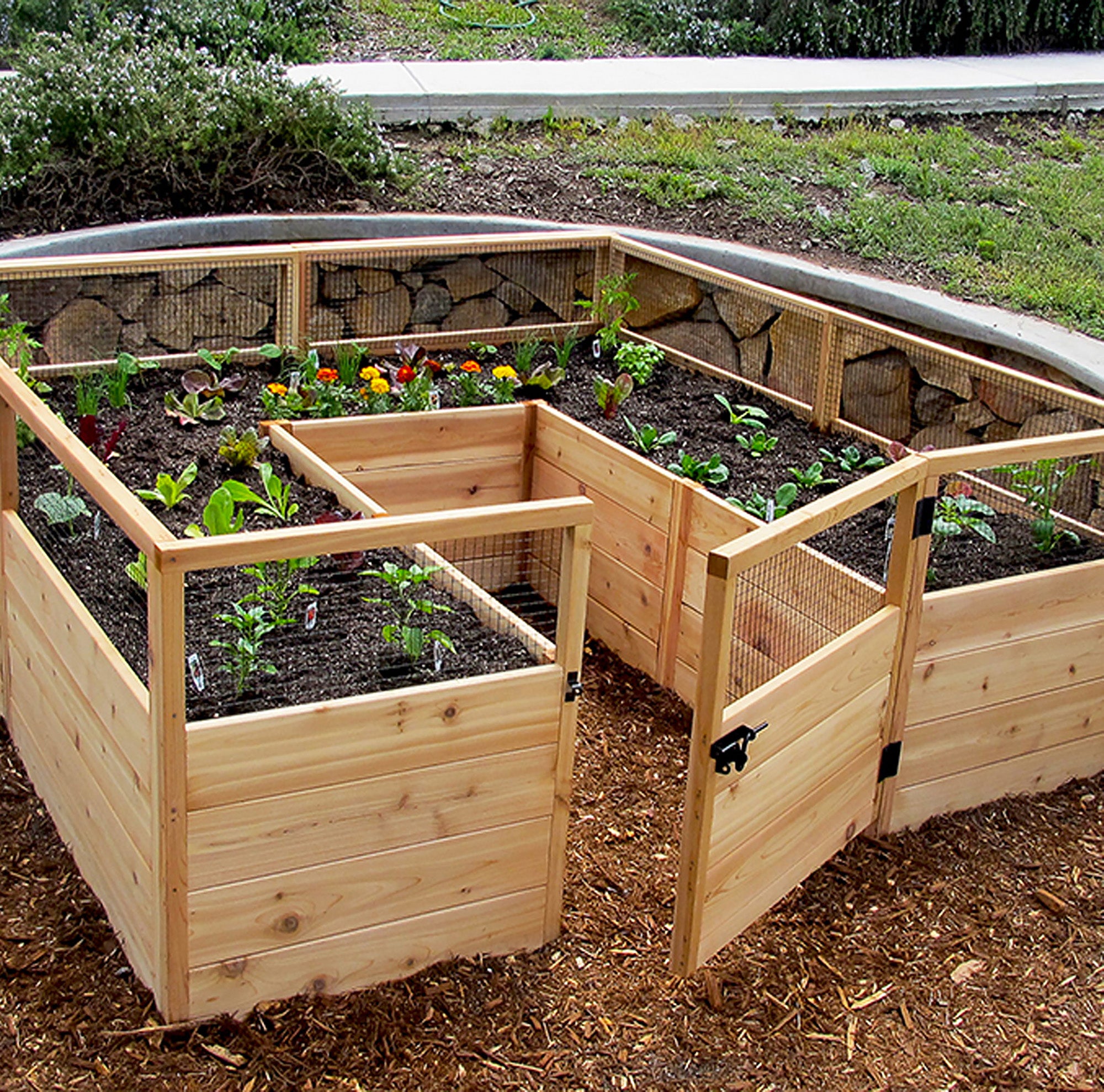 Outdoor Living Today 8x8 Western Red Cedar Raised Garden Bed