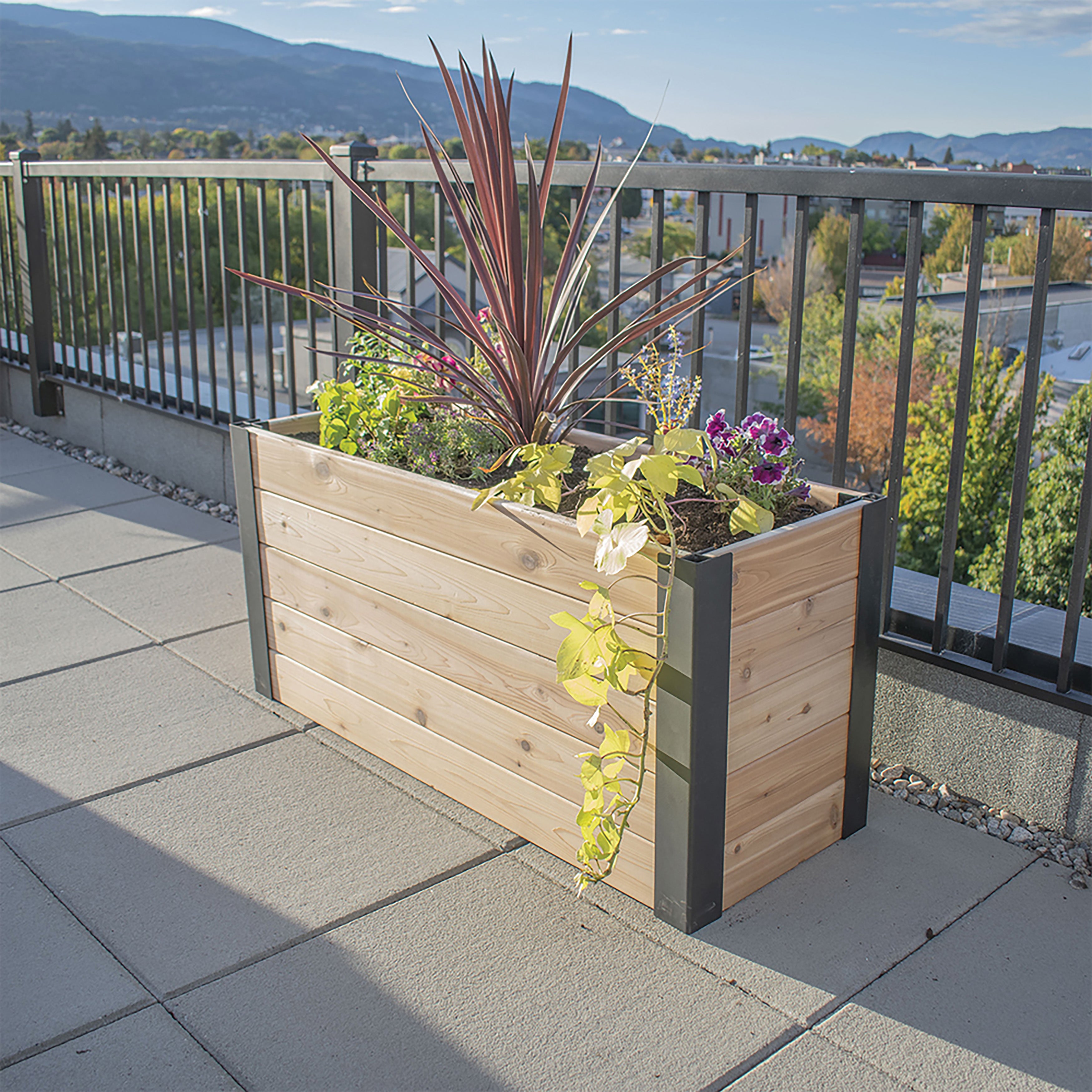 Outdoor Living Today 4x1.5 Western Red Cedar Urban Raised Garden Bed