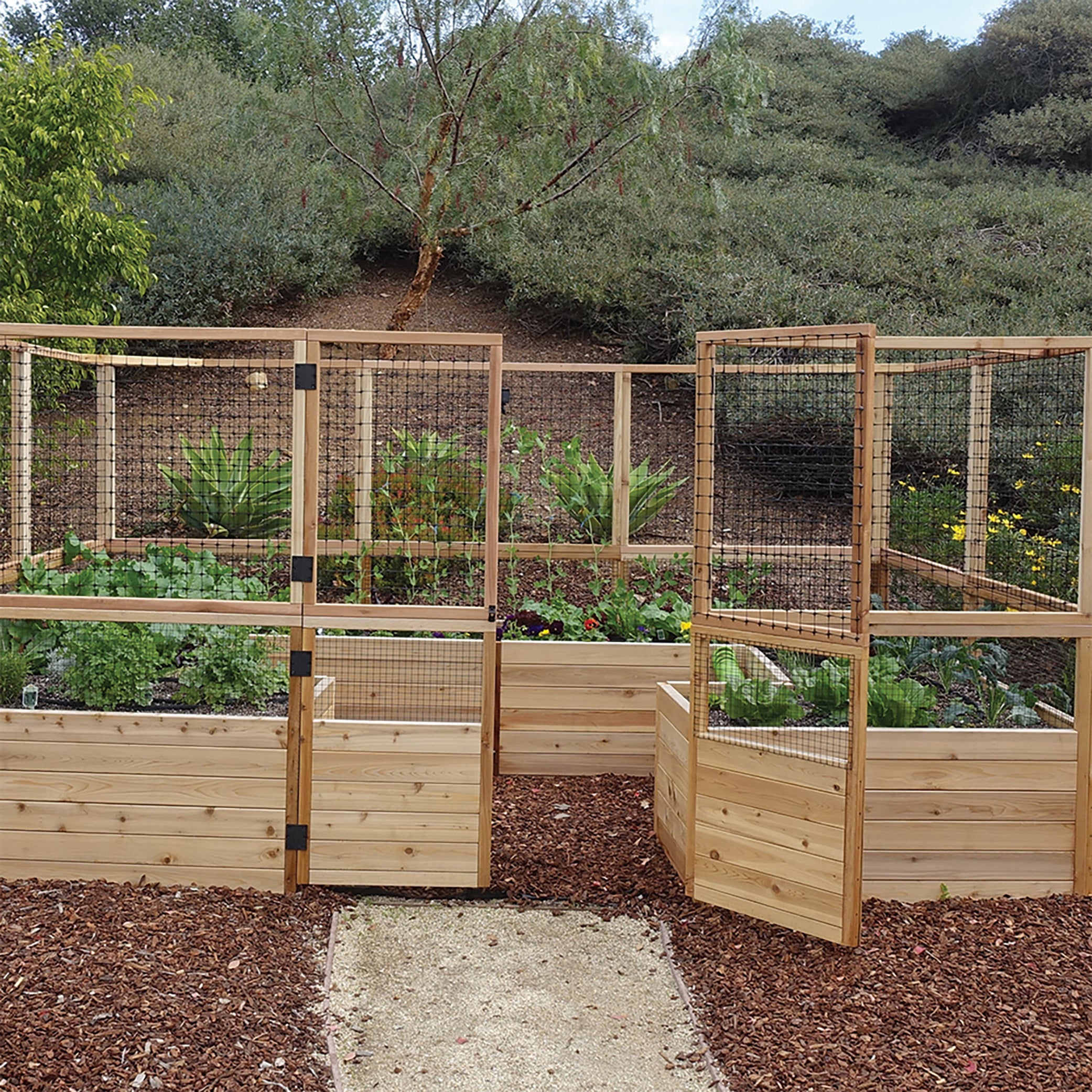 Outdoor Living Today 12x8 Western Red Cedar Raised Garden Bed with Deerfence