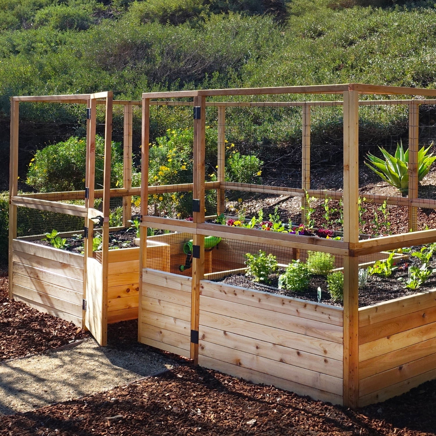 Outdoor Living Today 12x8 Western Red Cedar Raised Garden Bed with Deerfence