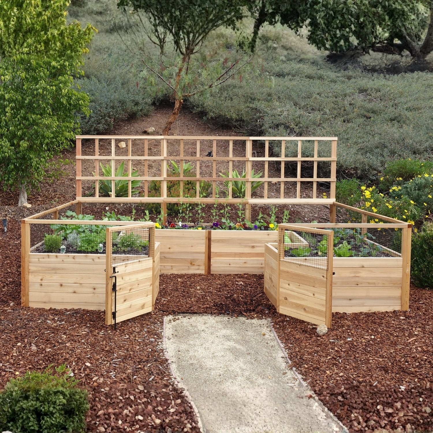Outdoor Living Today 12x8 Western Red Cedar Raised Garden Bed