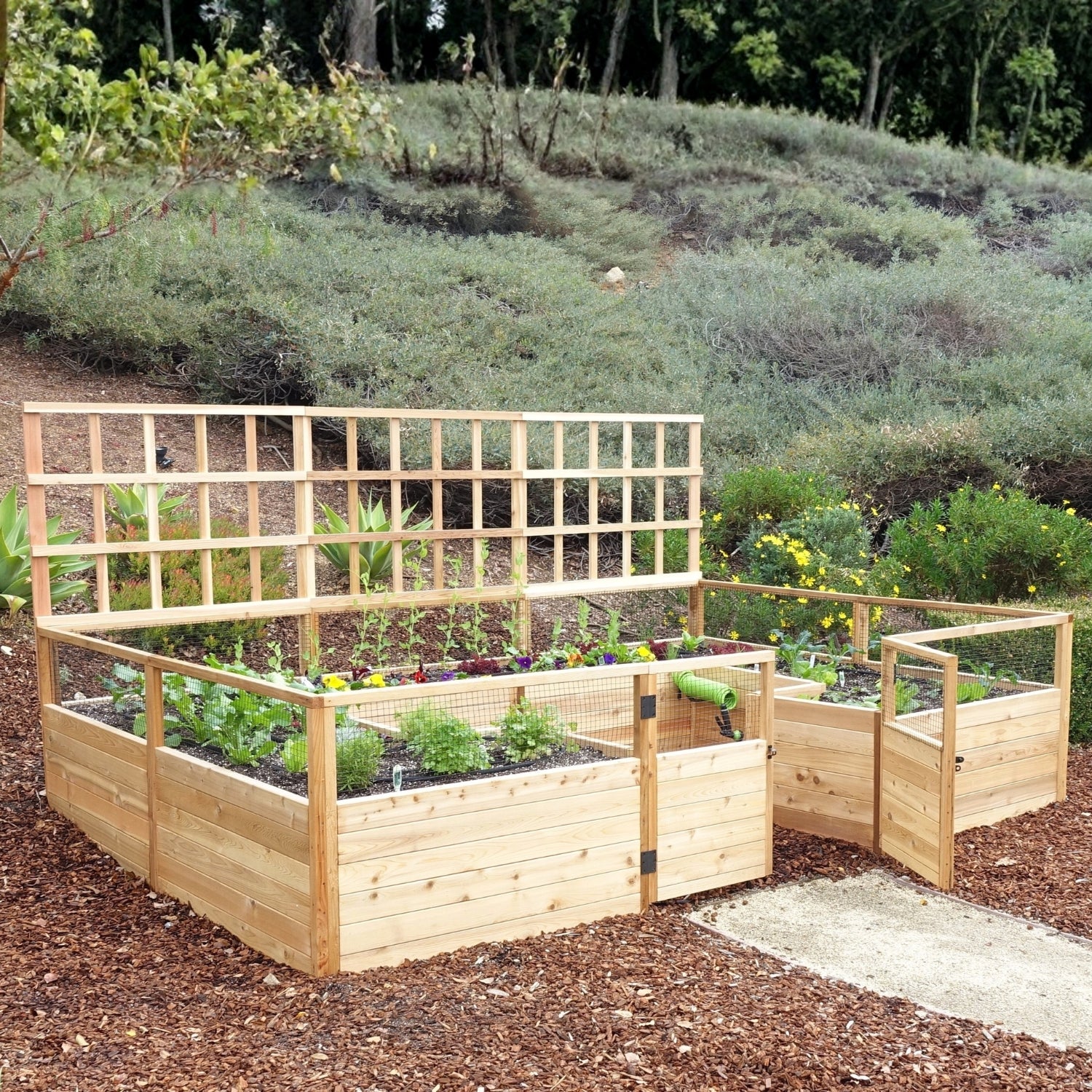 Outdoor Living Today 12x8 Western Red Cedar Raised Garden Bed