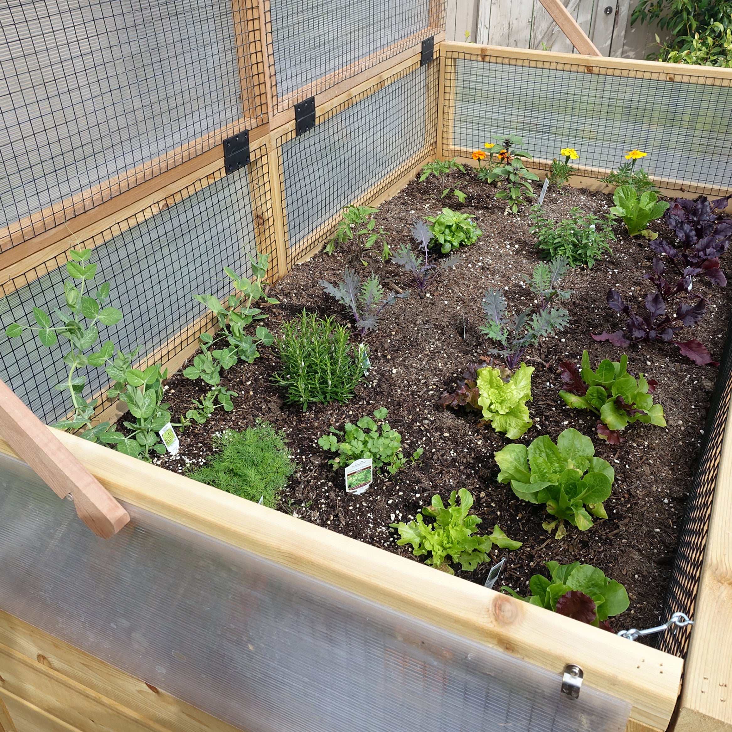 Outdoor Living Today 6x3 Western Red Cedar Raised Garden Bed with Mini Greenhouse