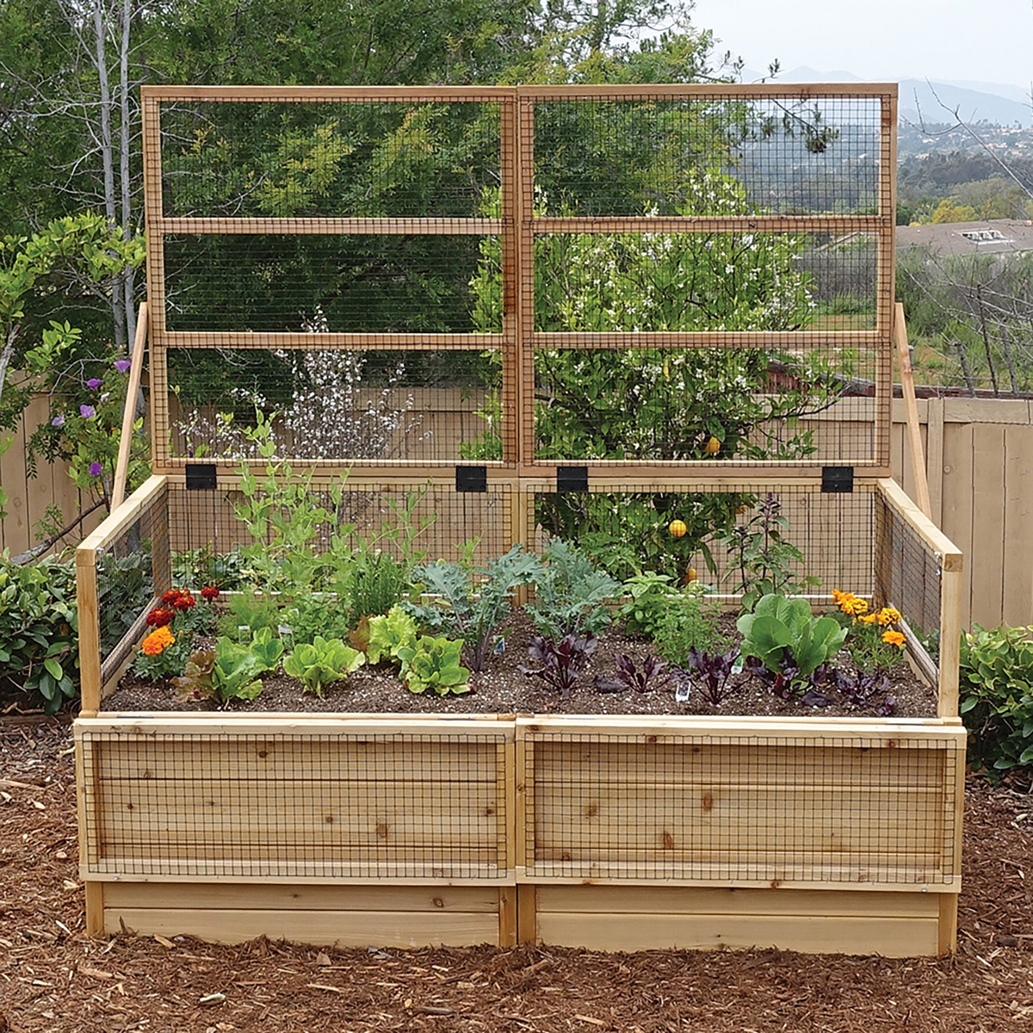 Outdoor Living Today 6x3 Western Red Cedar Raised Garden Bed with Trellis