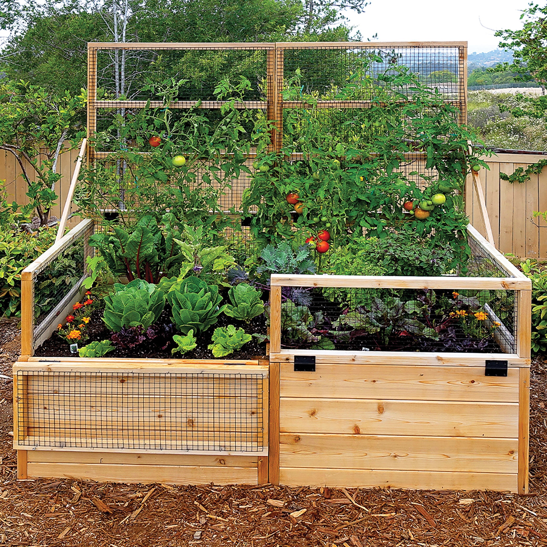 Outdoor Living Today 6x3 Western Red Cedar Raised Garden Bed with Trellis