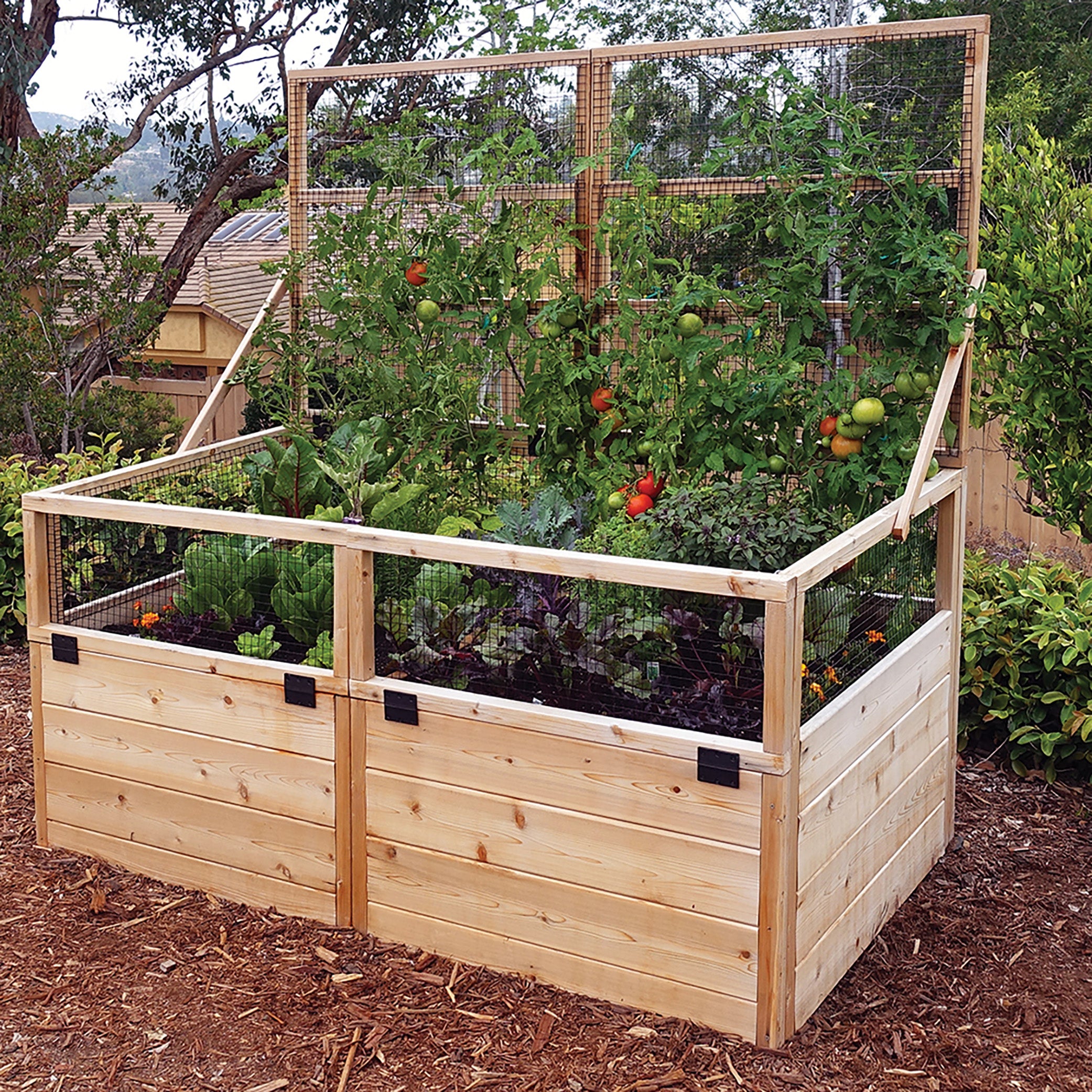 Outdoor Living Today 6x3 Western Red Cedar Raised Garden Bed with Mini Greenhouse