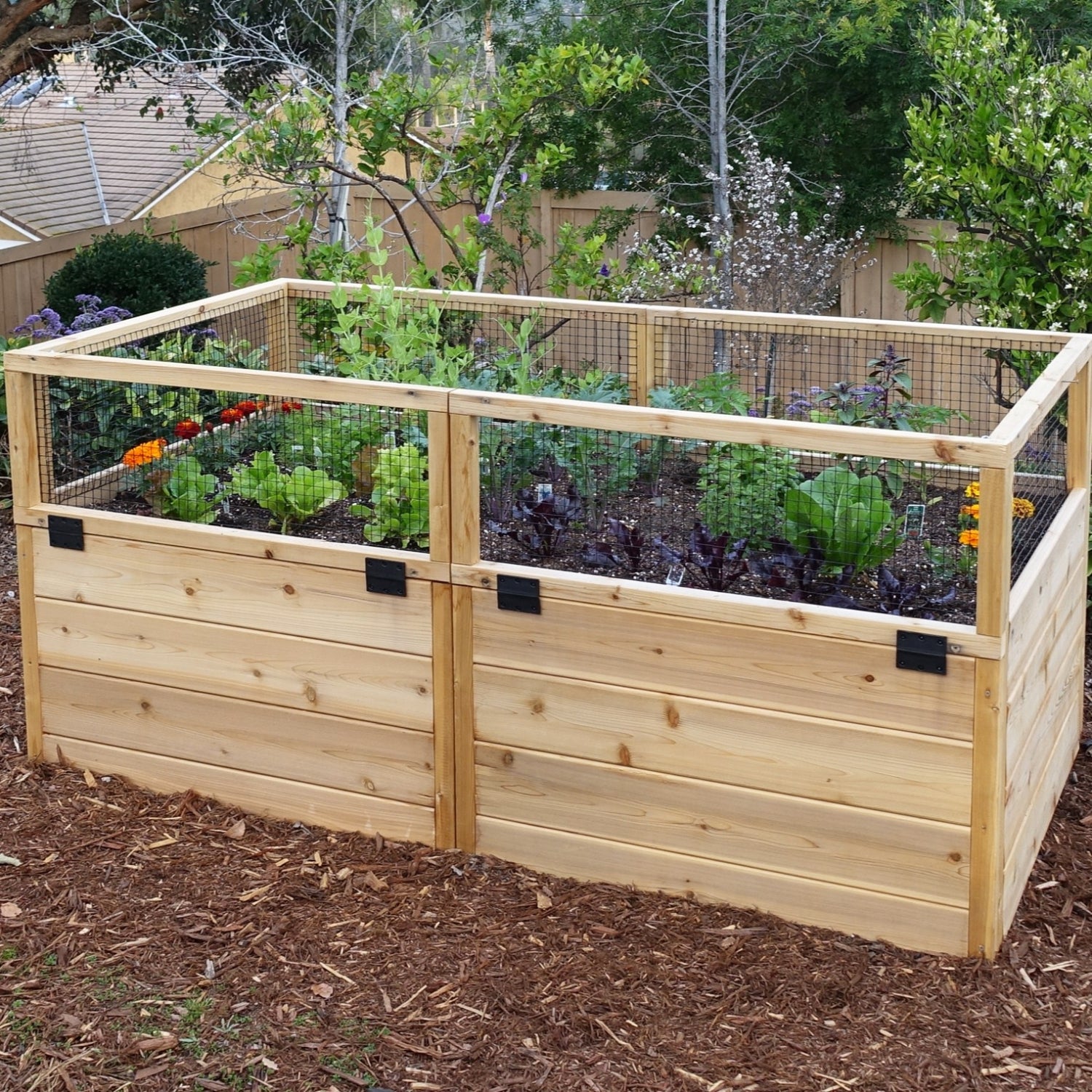 Outdoor Living Today 6x3 Western Red Cedar Raised Garden Bed
