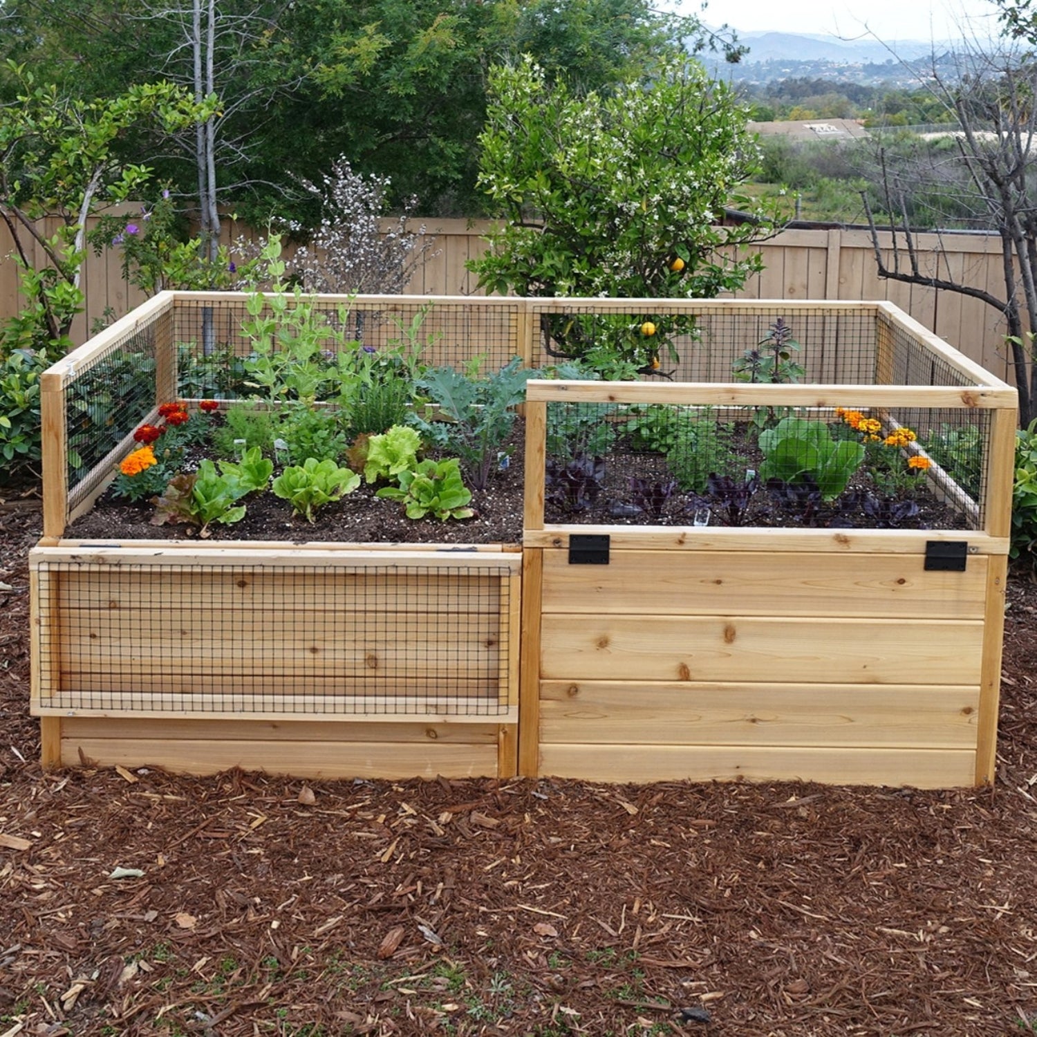 Outdoor Living Today 6x3 Western Red Cedar Raised Garden Bed