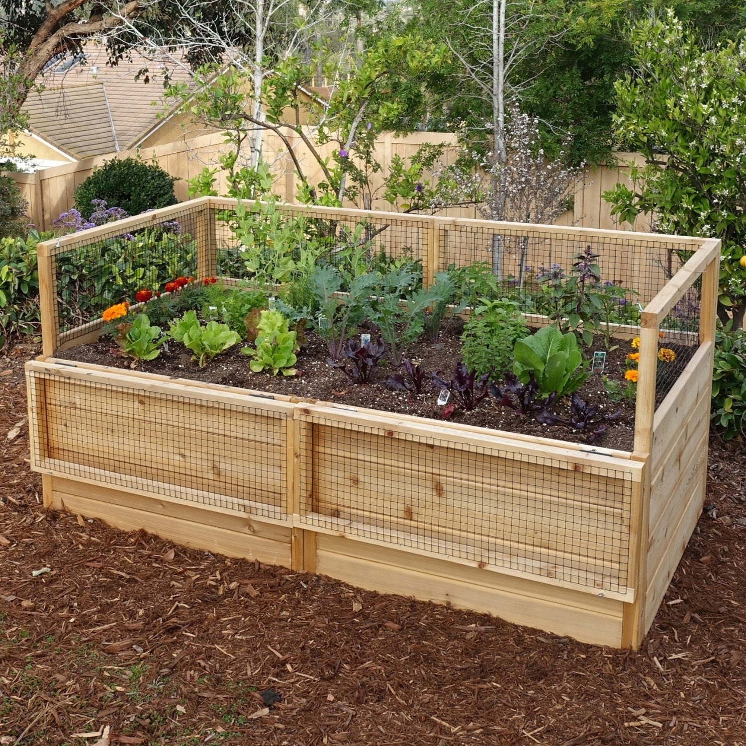 Outdoor Living Today 6x3 Western Red Cedar Raised Garden Bed