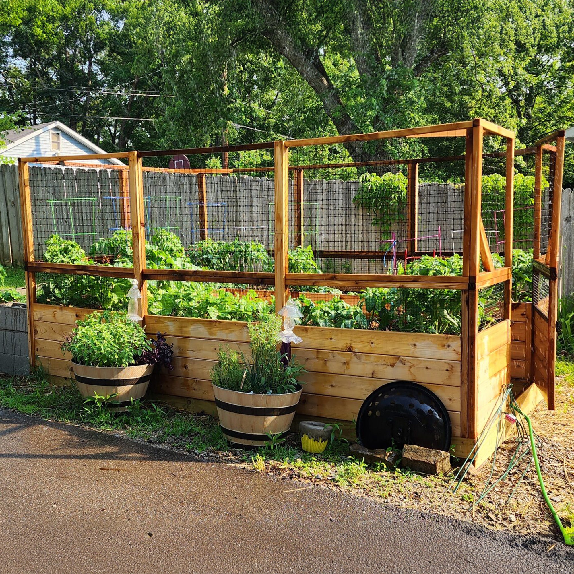 Outdoor Living Today 8x12 Western Red Cedar Raised Garden Bed with Deerfence