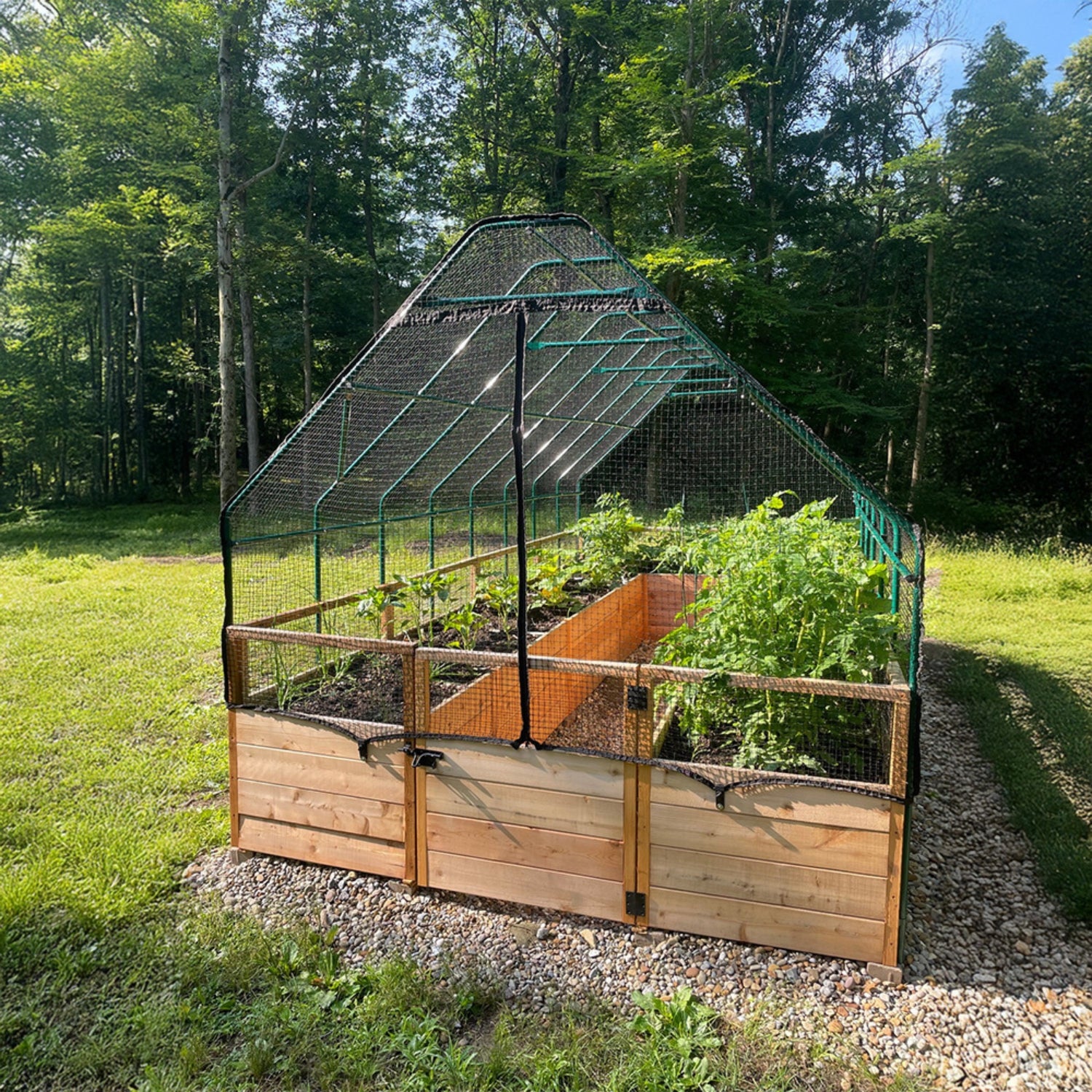 Outdoor Living Today 8x16 Western Red Cedar Raised Garden Bed with Bird Net Frame & Cover