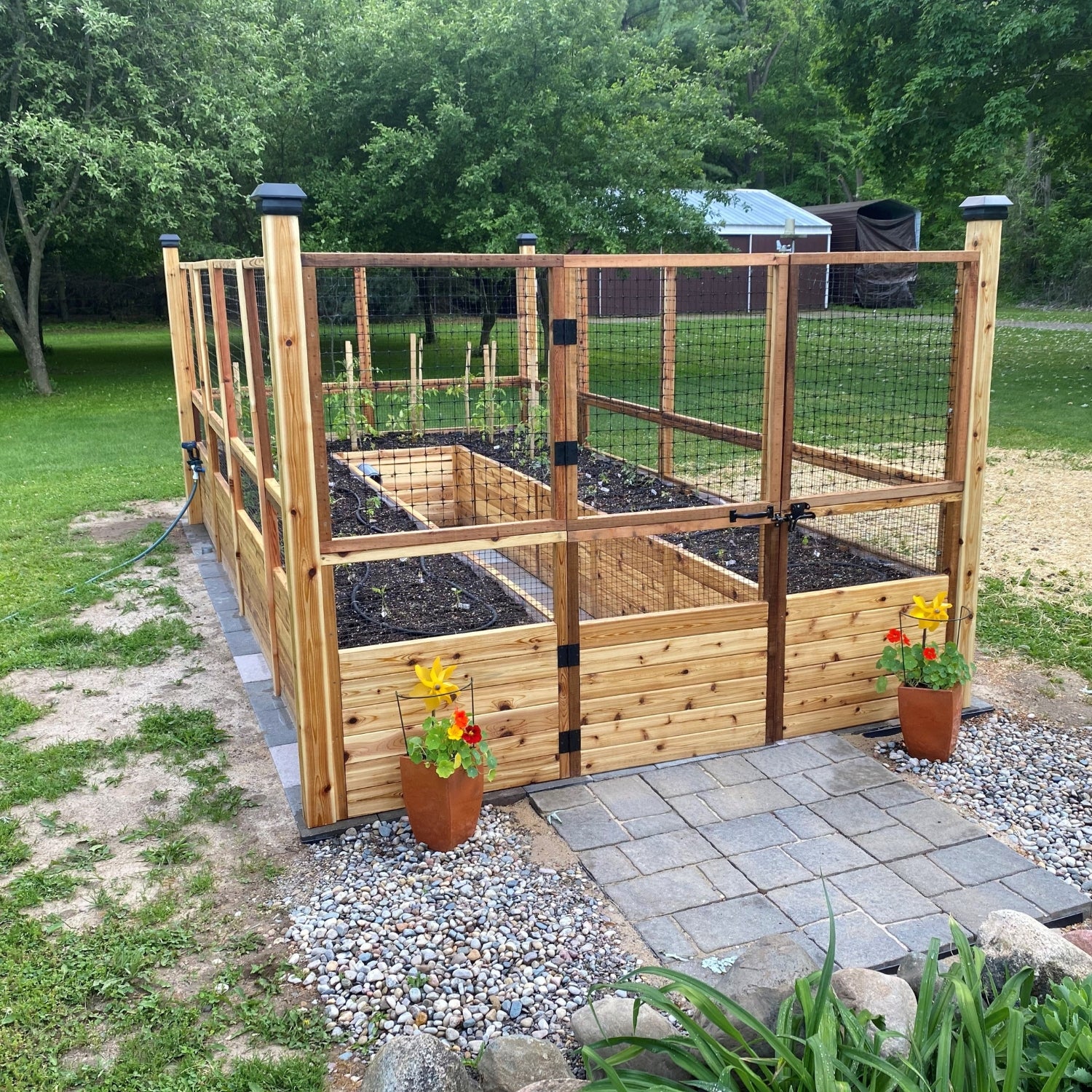 Outdoor Living Today 8x16 Western Red Cedar Raised Garden Bed with Deerfence
