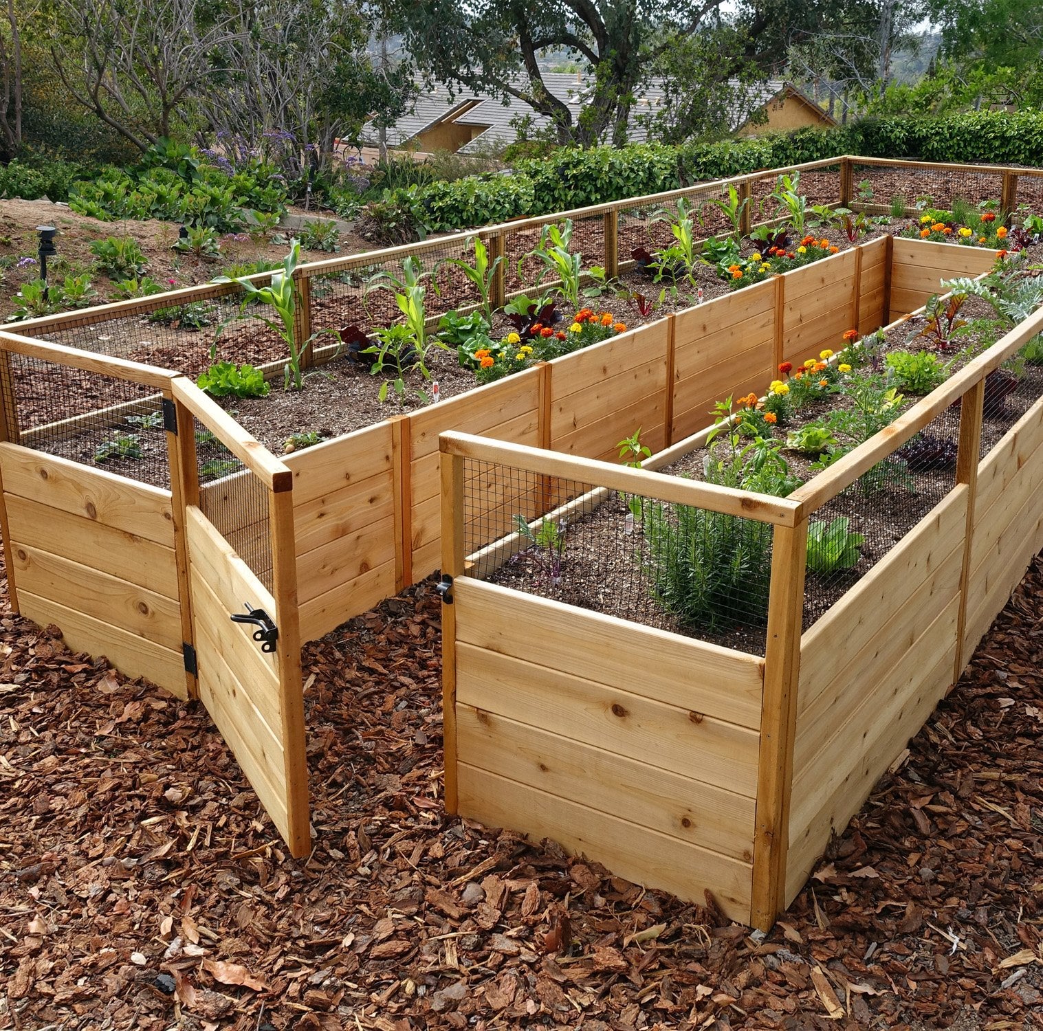 Outdoor Living Today 8x16 Western Red Cedar Raised Garden Bed