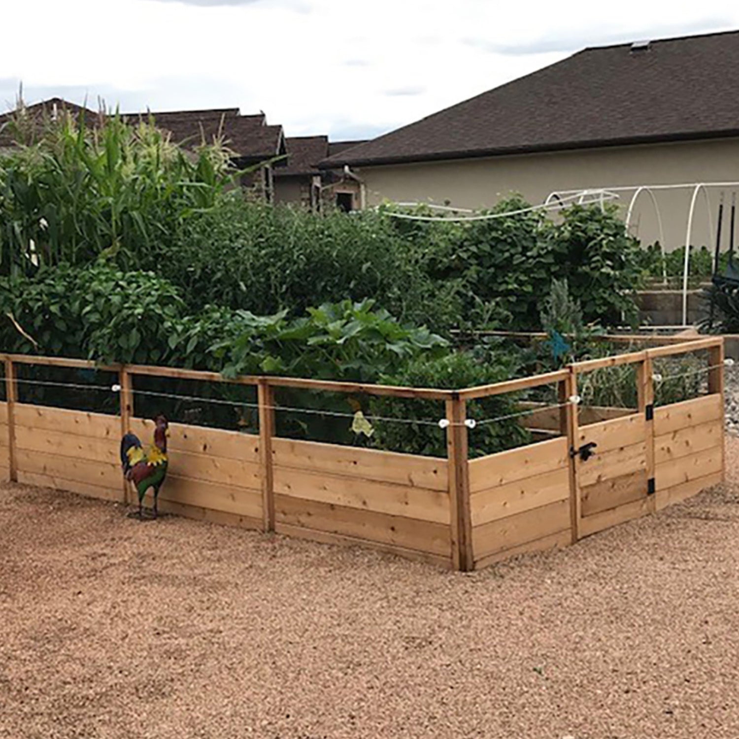 Outdoor Living Today 8x16 Western Red Cedar Raised Garden Bed