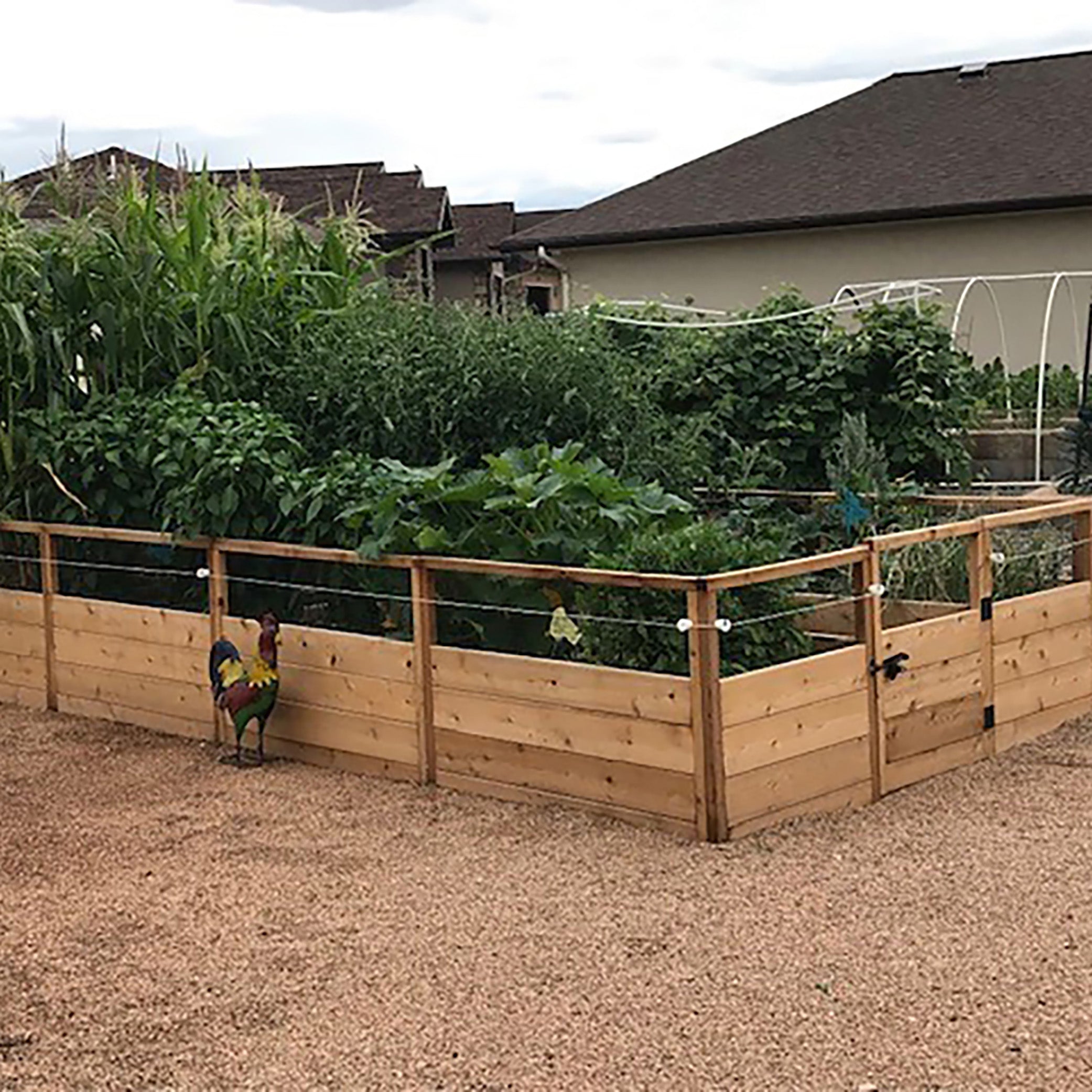 Outdoor Living Today 8x16 Western Red Cedar Raised Garden Bed