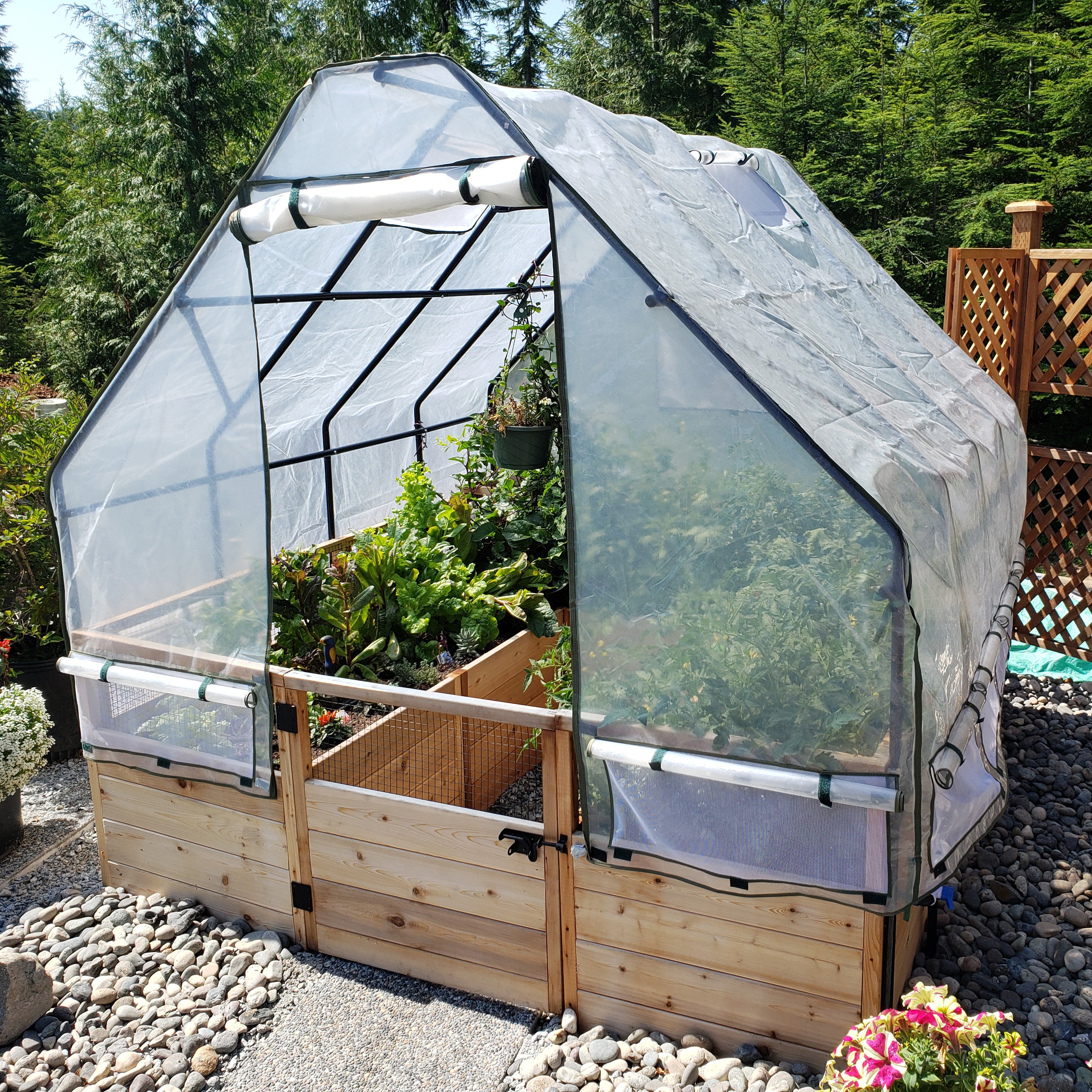 Outdoor Living Today 8x8 Western Red Cedar Raised Garden Bed with Greenhouse Option