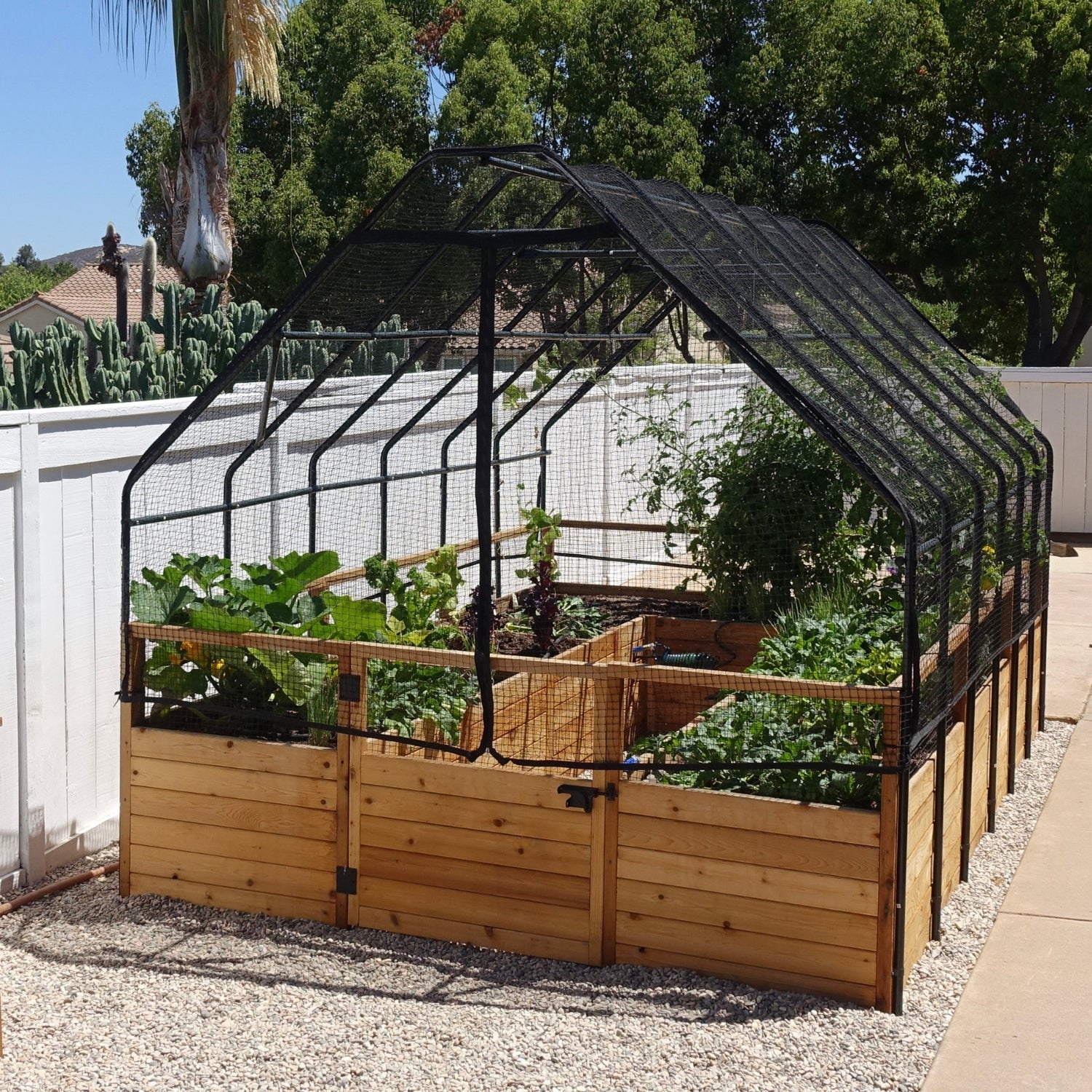 Outdoor Living Today 8x8 Western Red Cedar Raised Garden Bed with Bird Net Frame & Cover