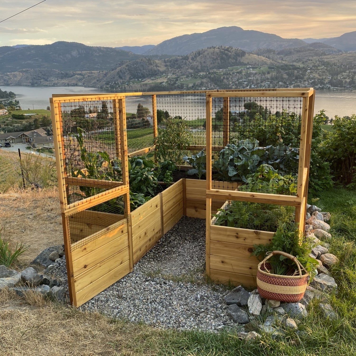 Outdoor Living Today 8x8 Western Red Cedar Raised Garden Bed with Deerfence