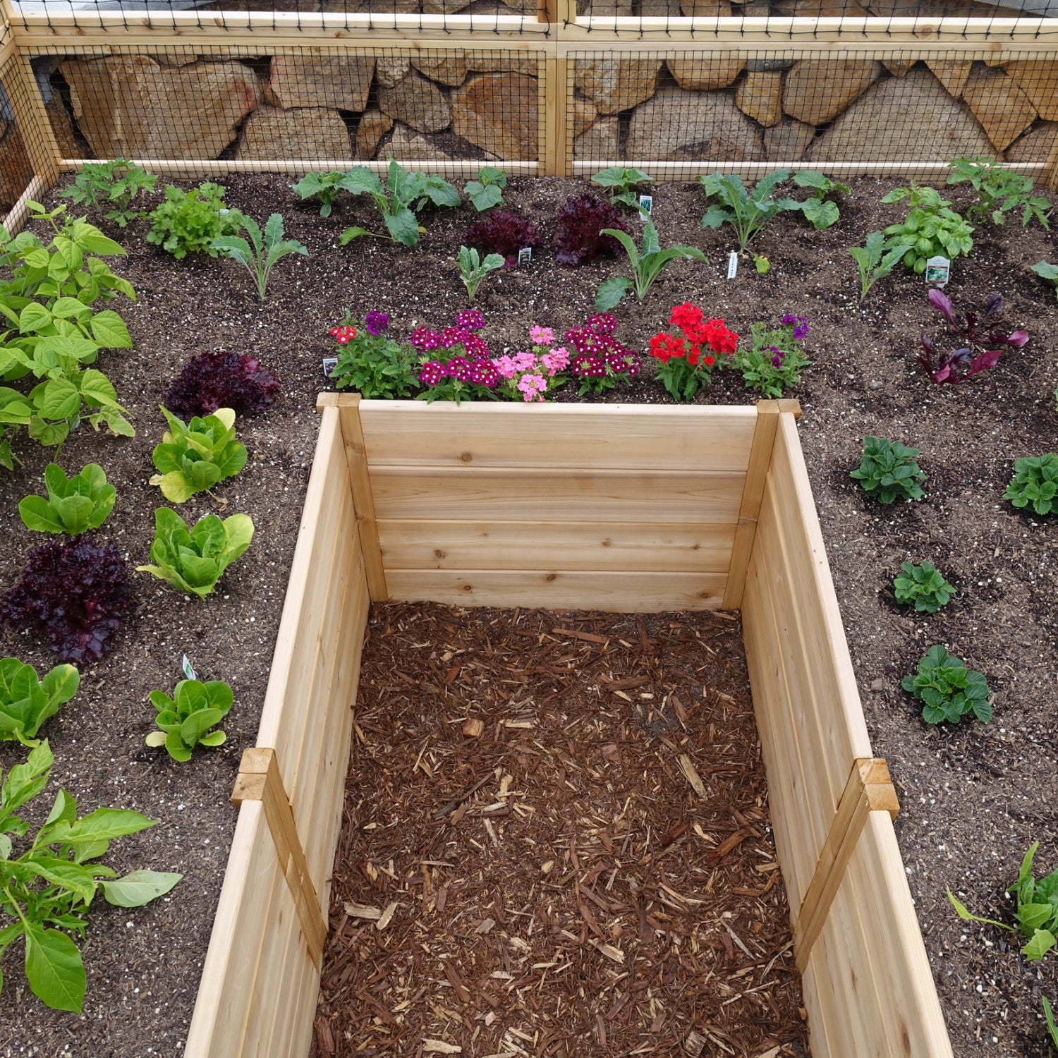Outdoor Living Today 8x8 Western Red Cedar Raised Garden Bed