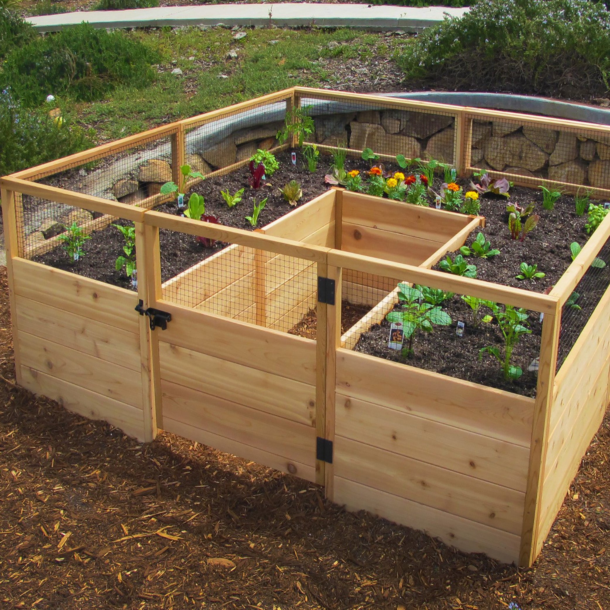 Outdoor Living Today 8x8 Western Red Cedar Raised Garden Bed
