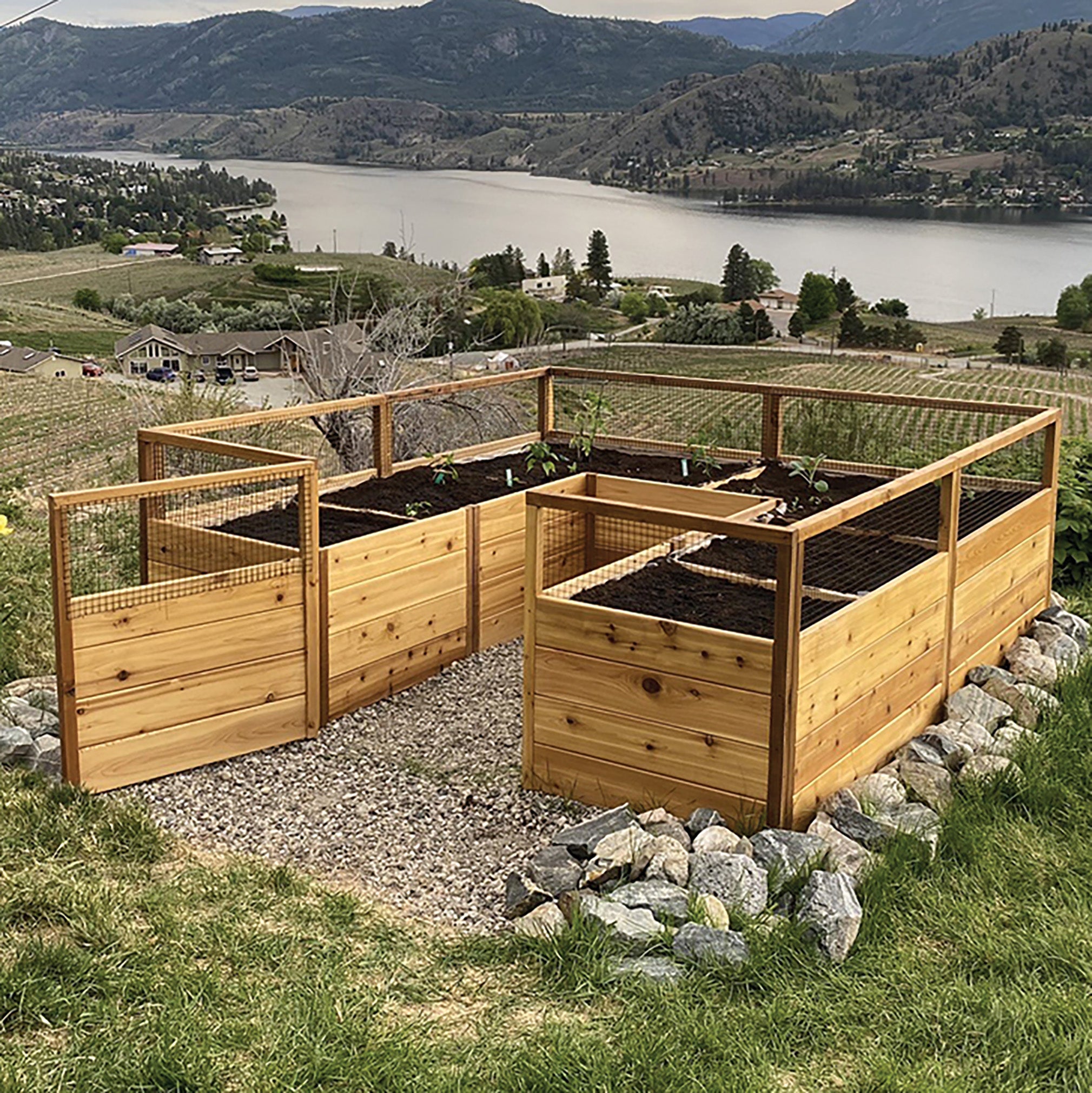 Outdoor Living Today 8x8 Western Red Cedar Raised Garden Bed