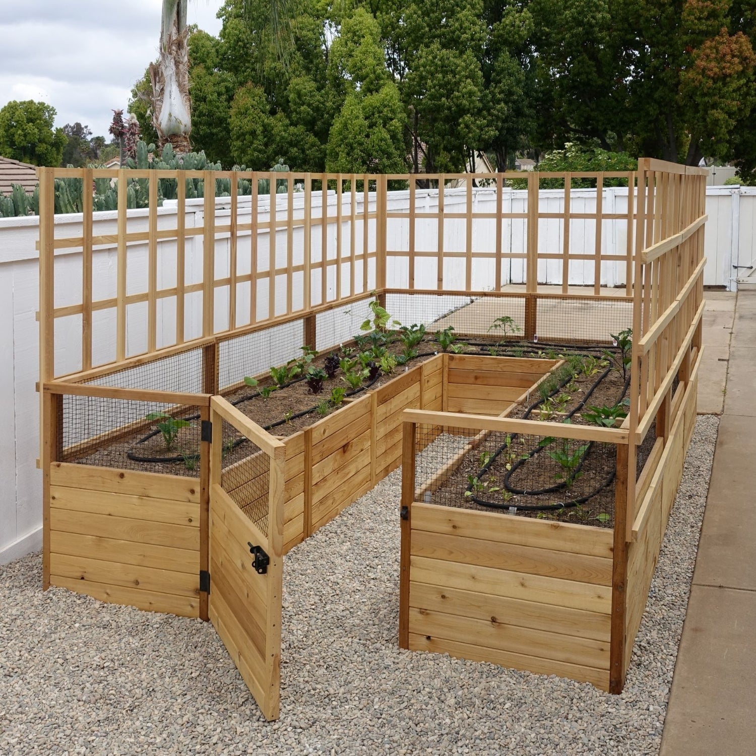 Outdoor Living Today 8ft Western Red Cedar Raised Garden Bed Lattice Option - 1 Side Only
