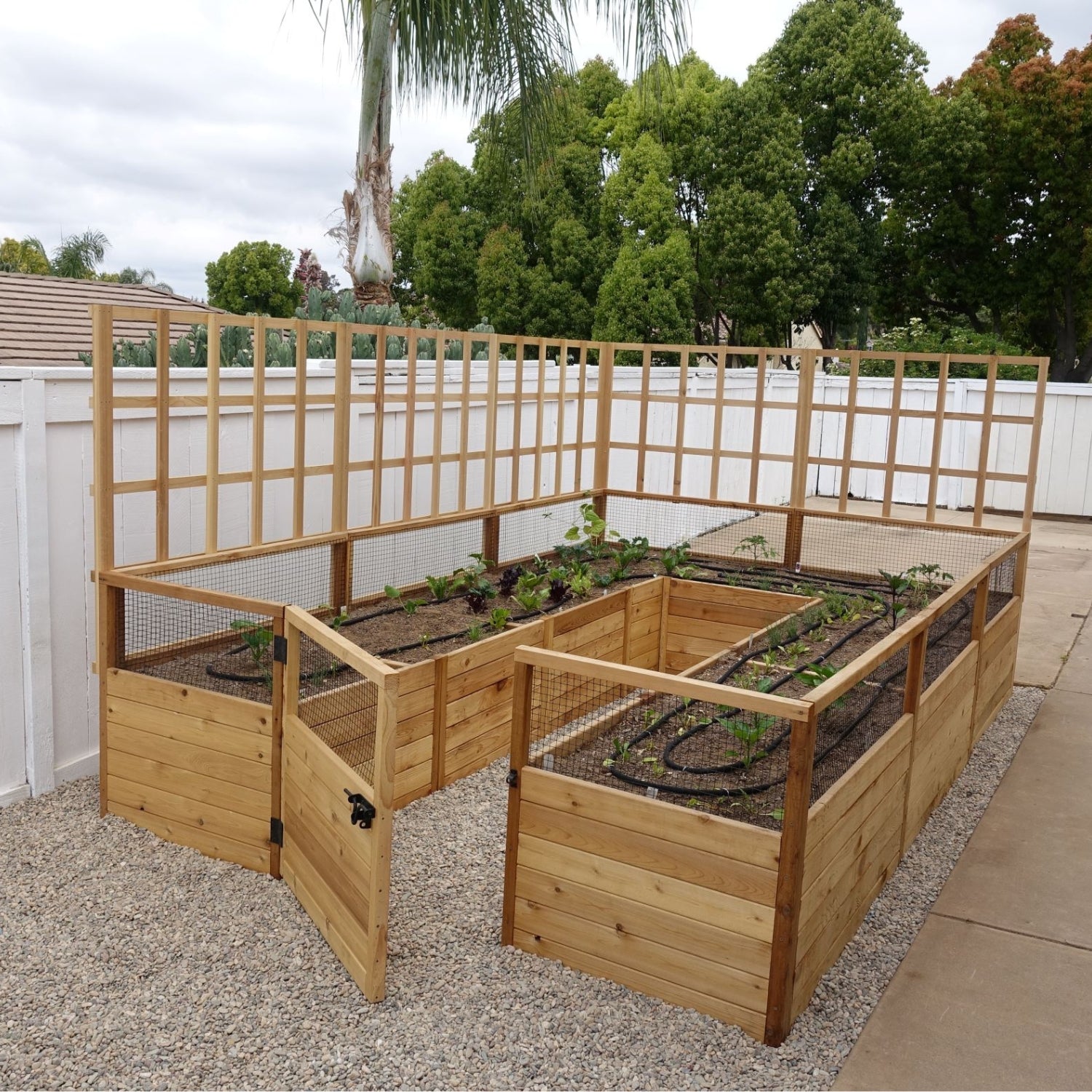 Outdoor Living Today 8ft Western Red Cedar Raised Garden Bed Lattice Option - 1 Side Only